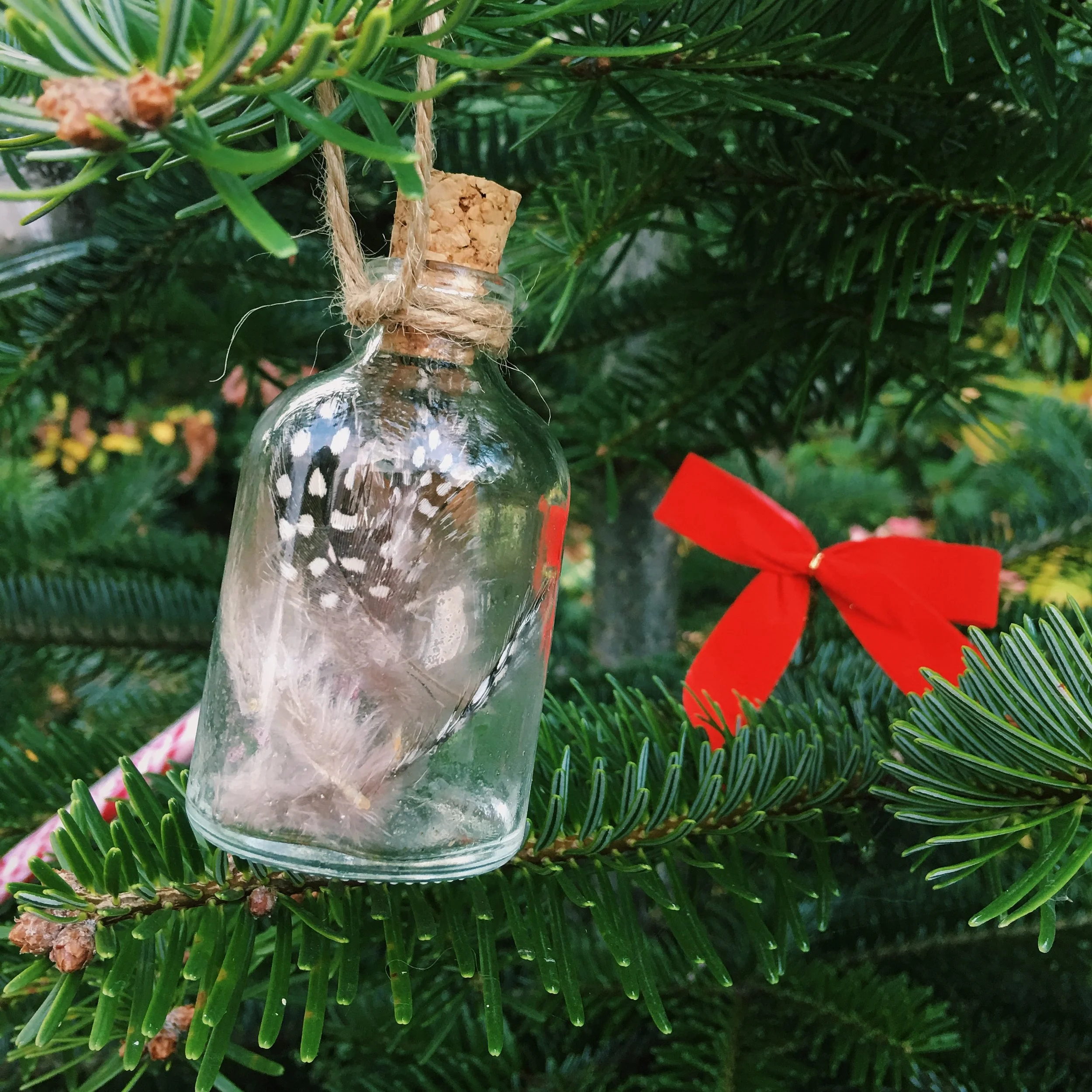 These glass and feather tree decorations are easy and cheap to make.