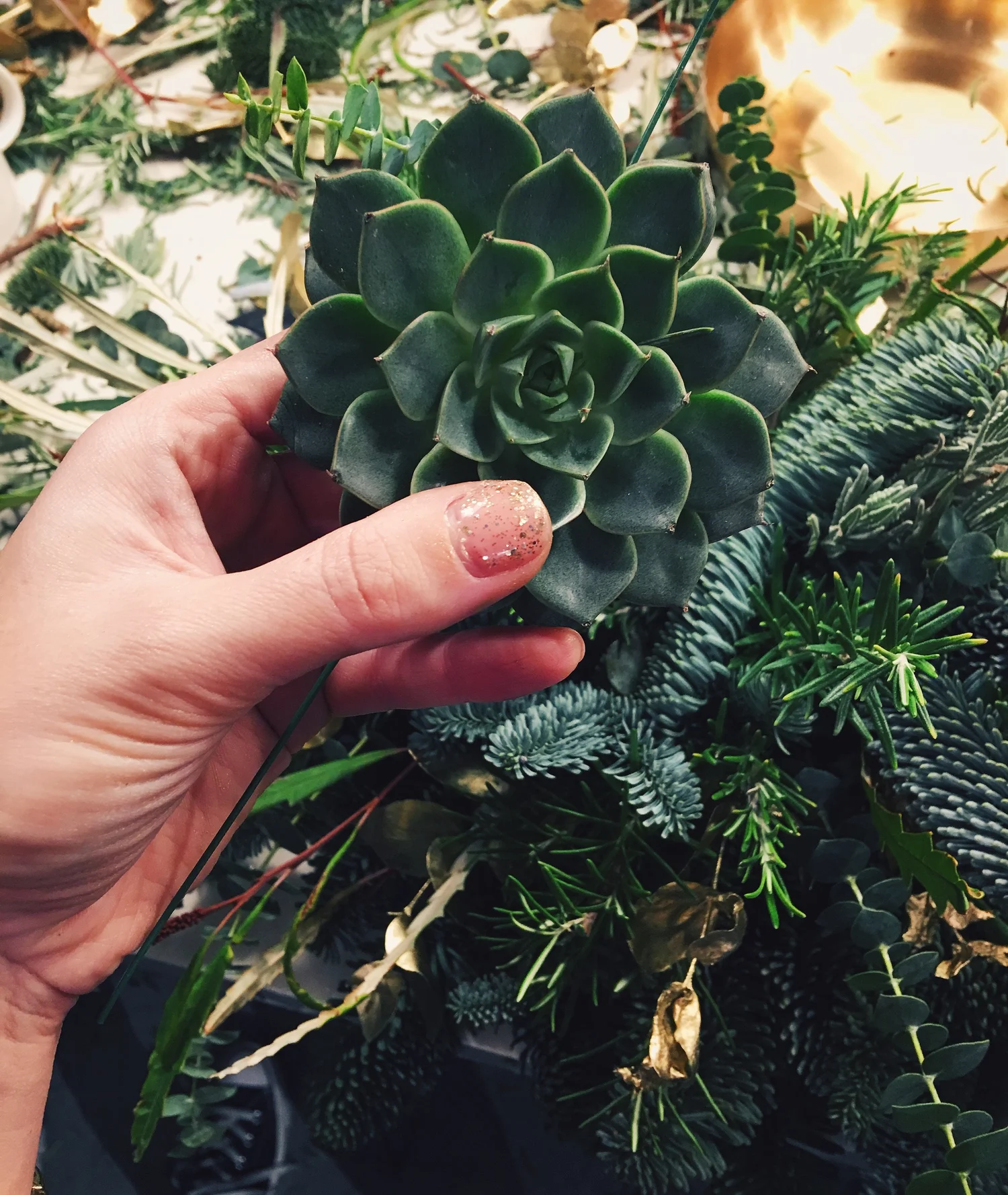 How To Make This Succulent Christmas Table Centrepiece — MELANIE