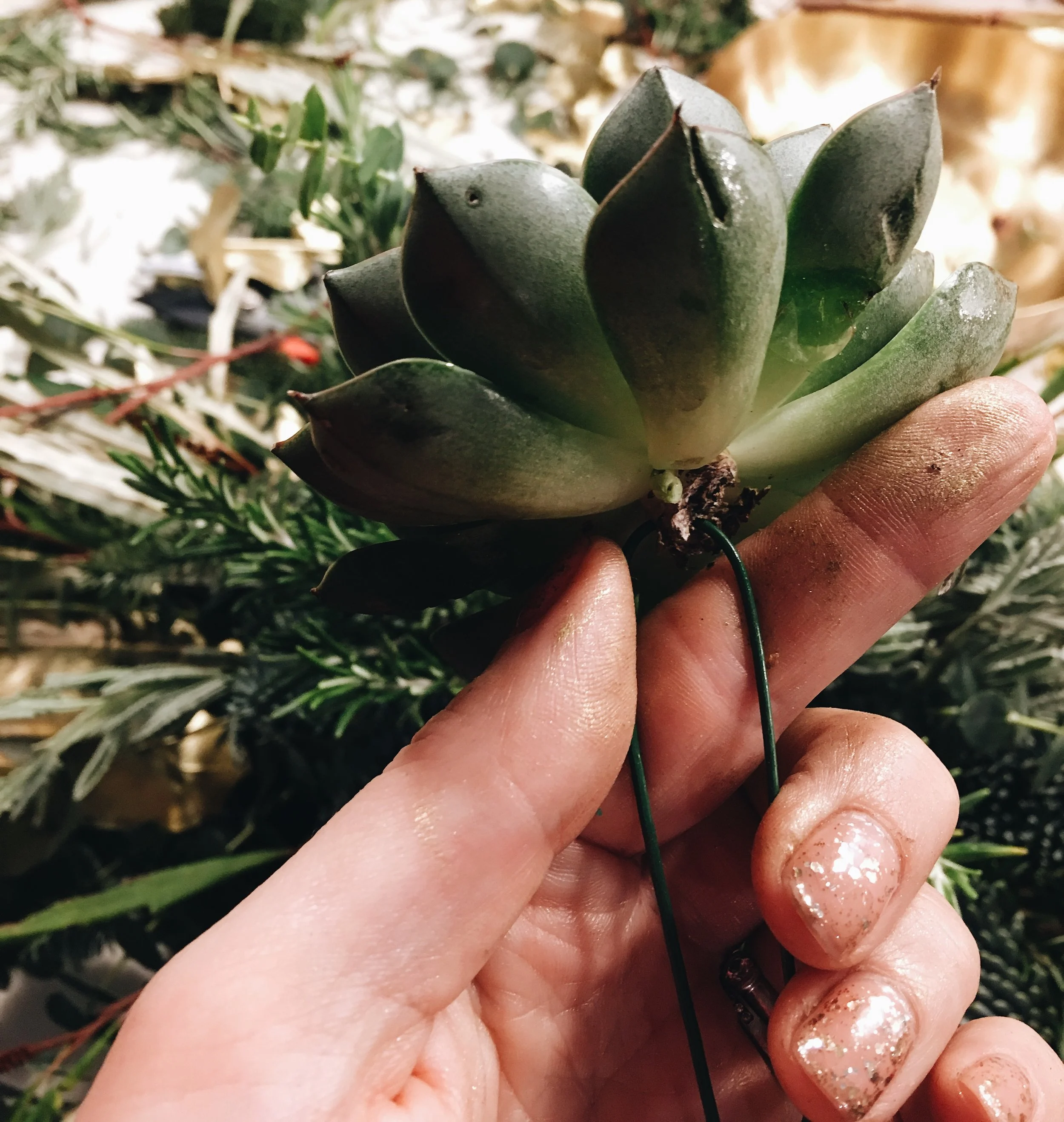 Use florist wire threaded through the base of a succulent head to keep it attached in the oasis.