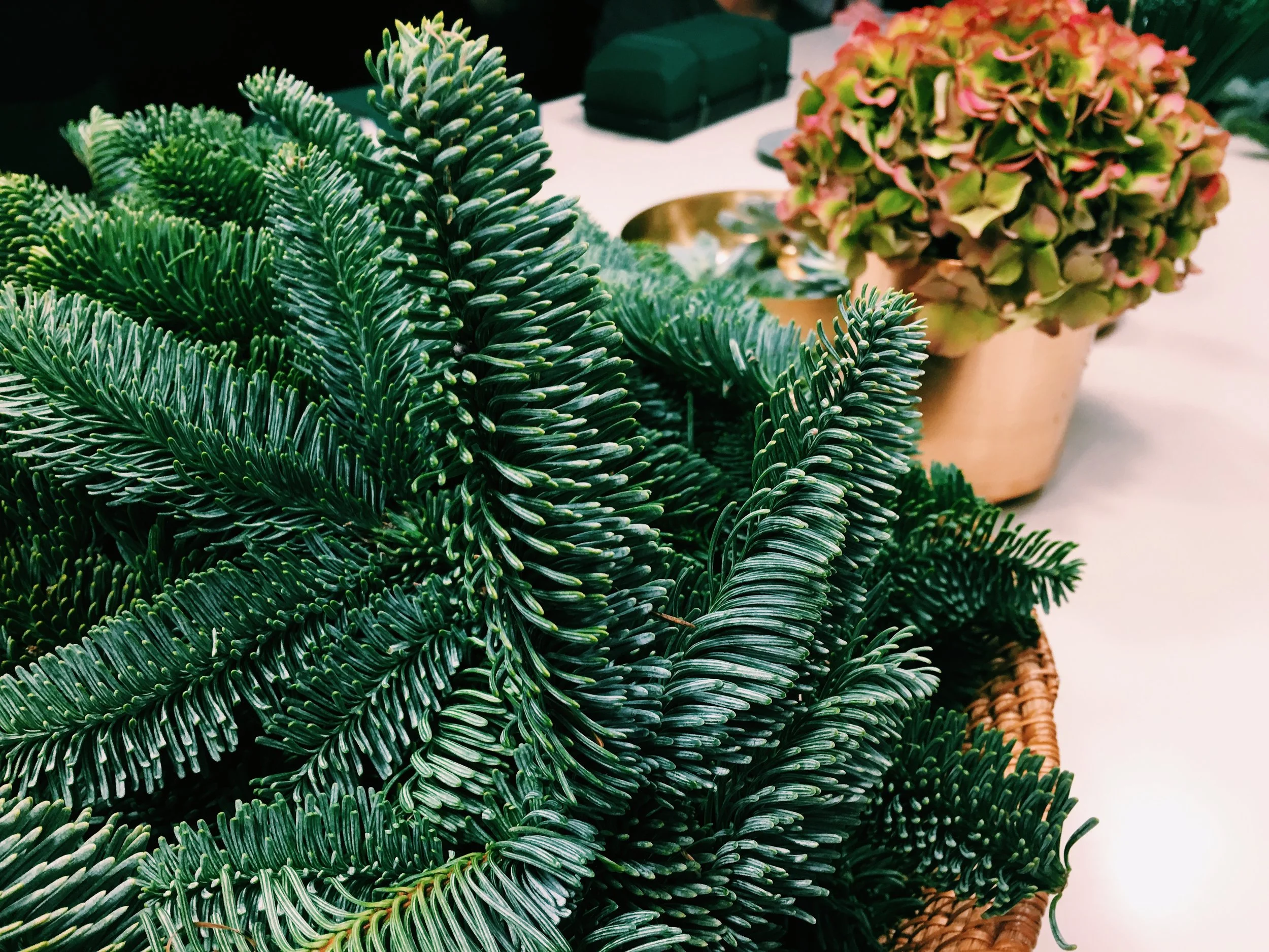 Chop your spruce into small, three shoot pieces.