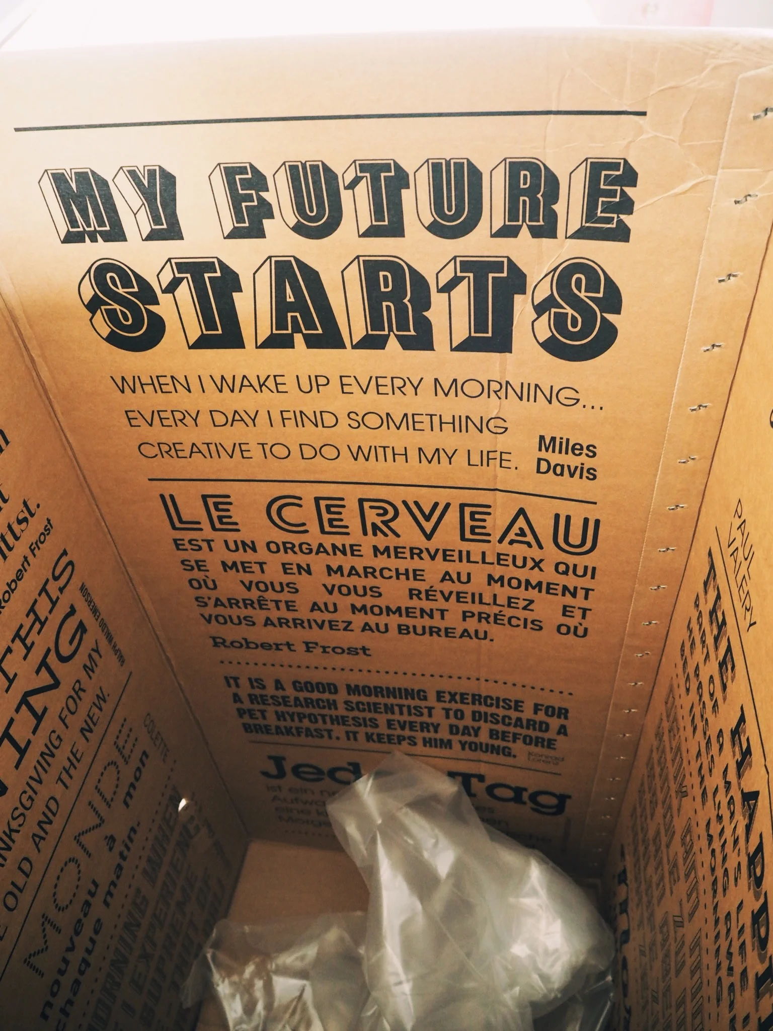 While watching the eve inflate, I also checked out the inside of the cool box it came in.