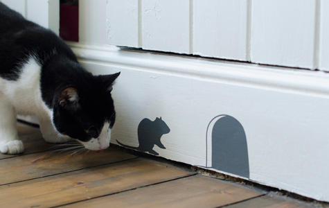 How brilliant is this? I'm not a cat lover ,but would add this to the skirting of a hallway if I was. Image courtesy of Inkmill Vinyl