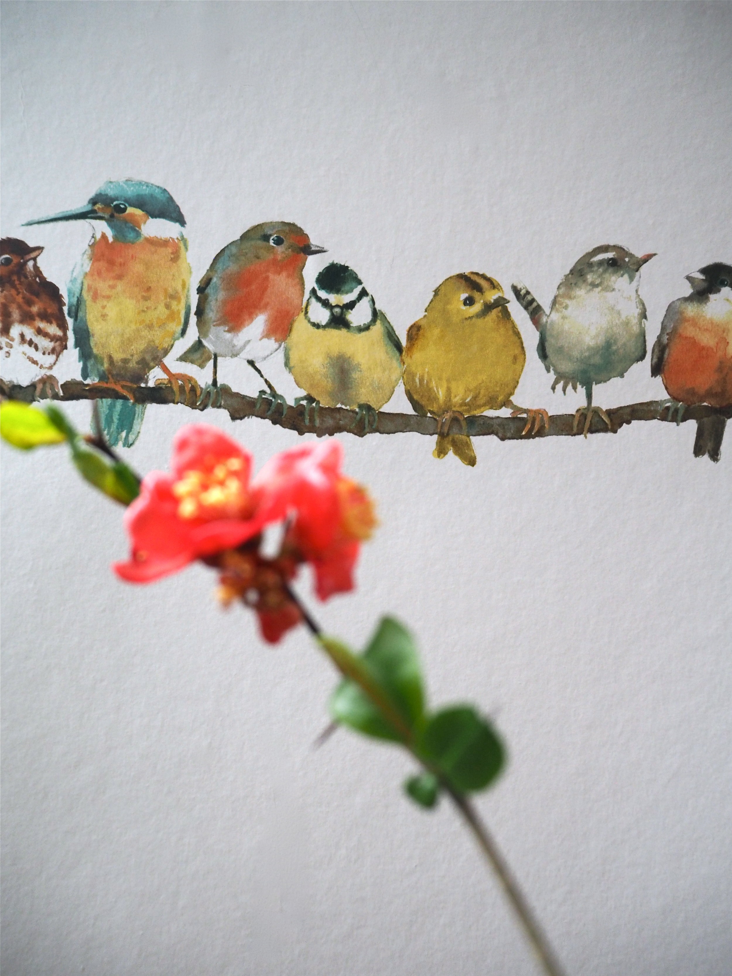 Featured image of post Laura Ashley Wallpaper Birds High to low nearest first