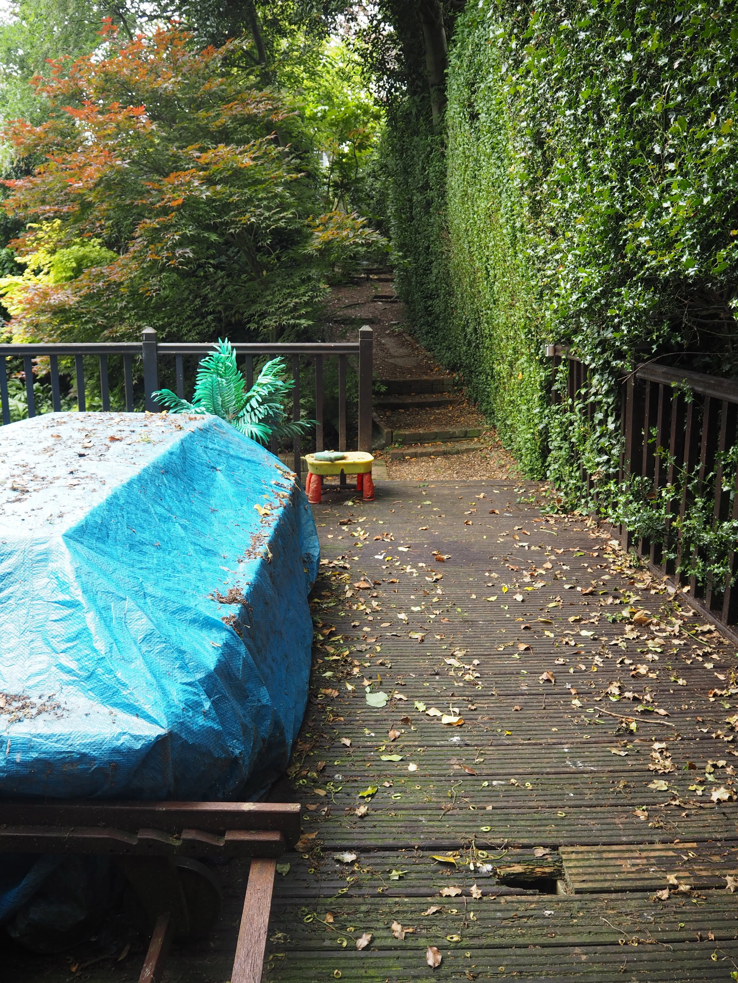 garden deck.jpg