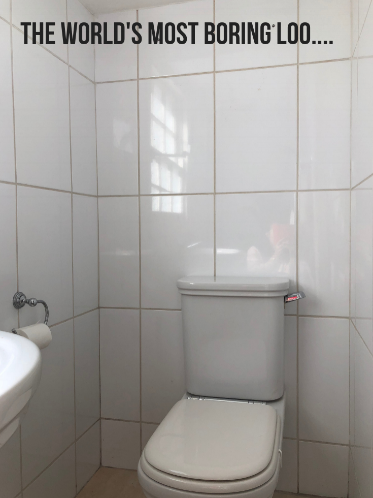 The world's most boring loo....1.png