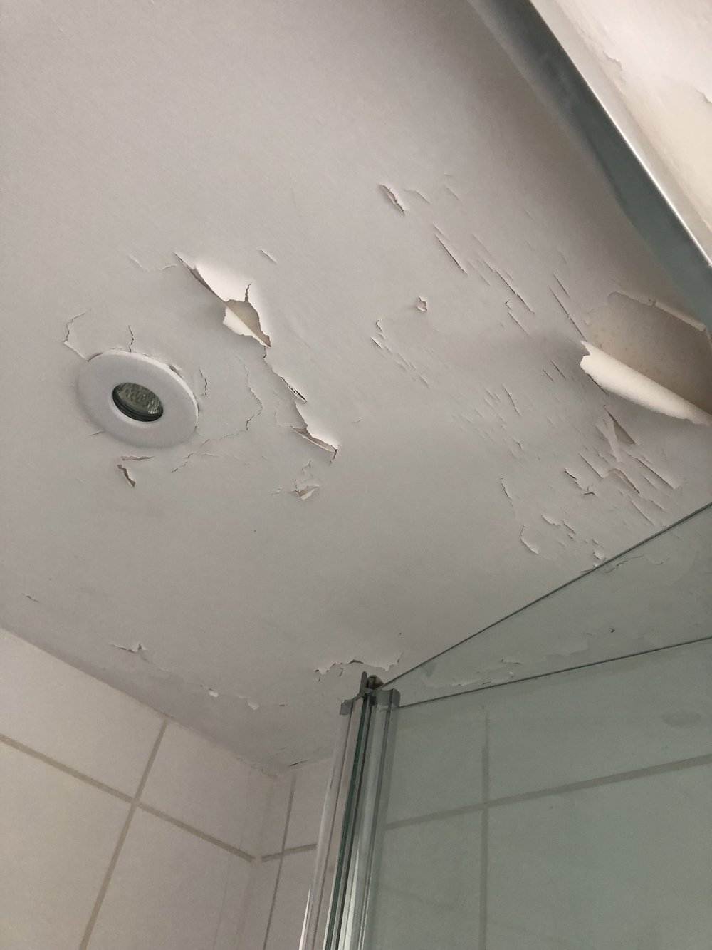 Ling Bathroom Wall Or Ceiling, What Paint To Use On Bathroom Ceiling
