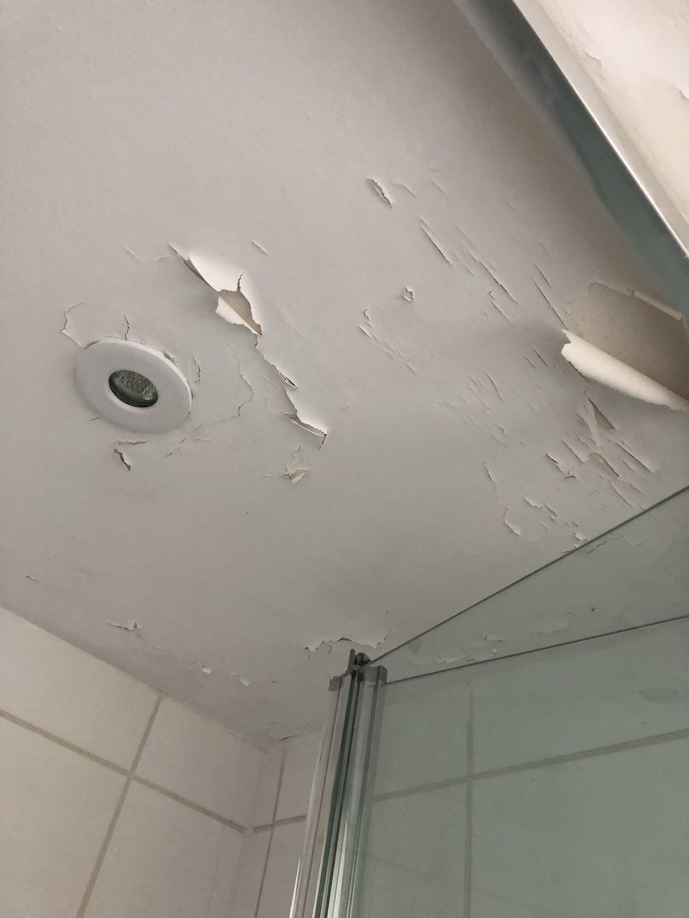 How To Repair A Peeling Bathroom Wall Or Ceiling — MELANIE LISSACK