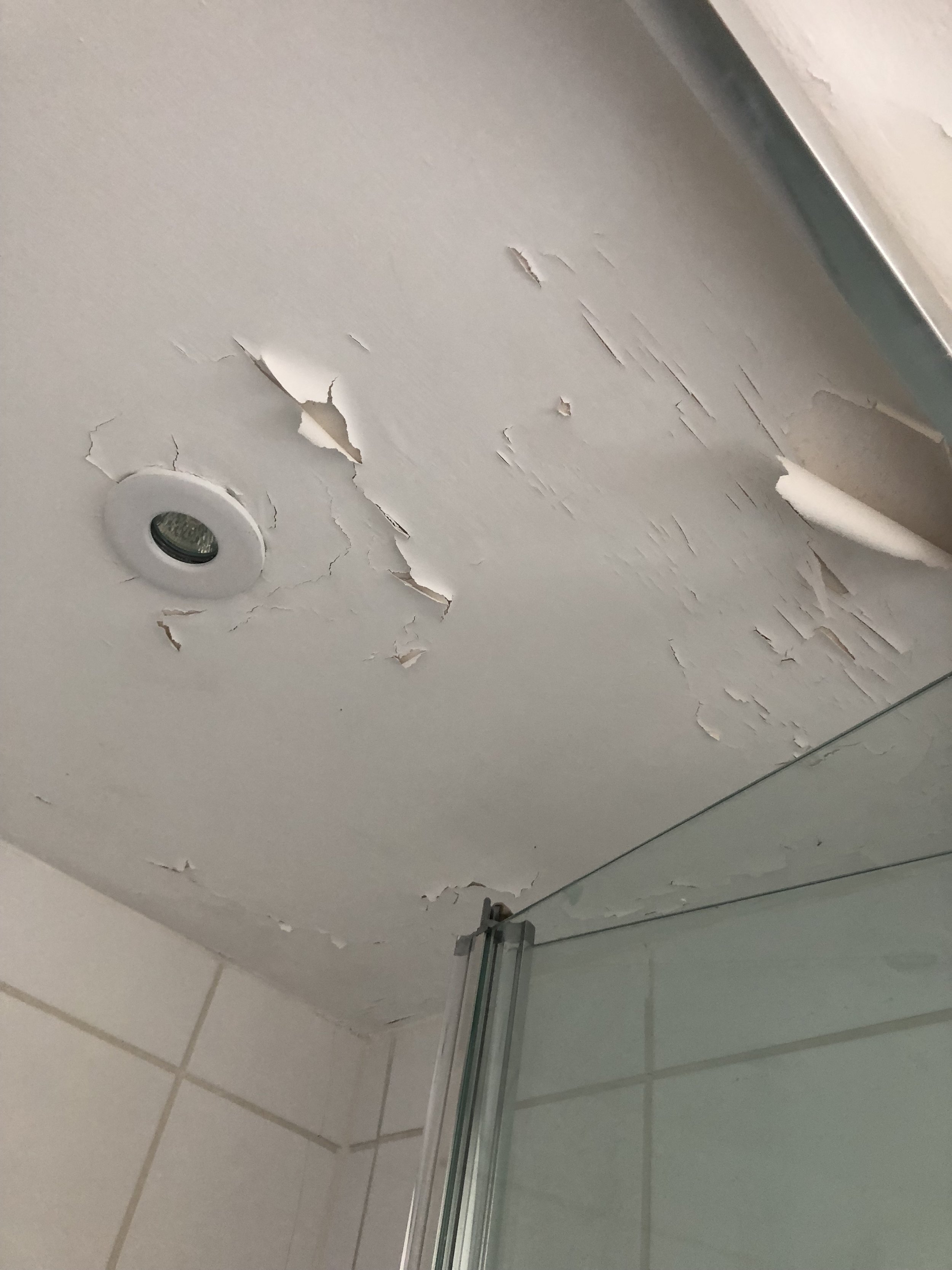 How To Repair A Peeling Bathroom Wall Or Ceiling Melanie Lissack Interiors,Leonardo Dicaprio All Movies List Imdb