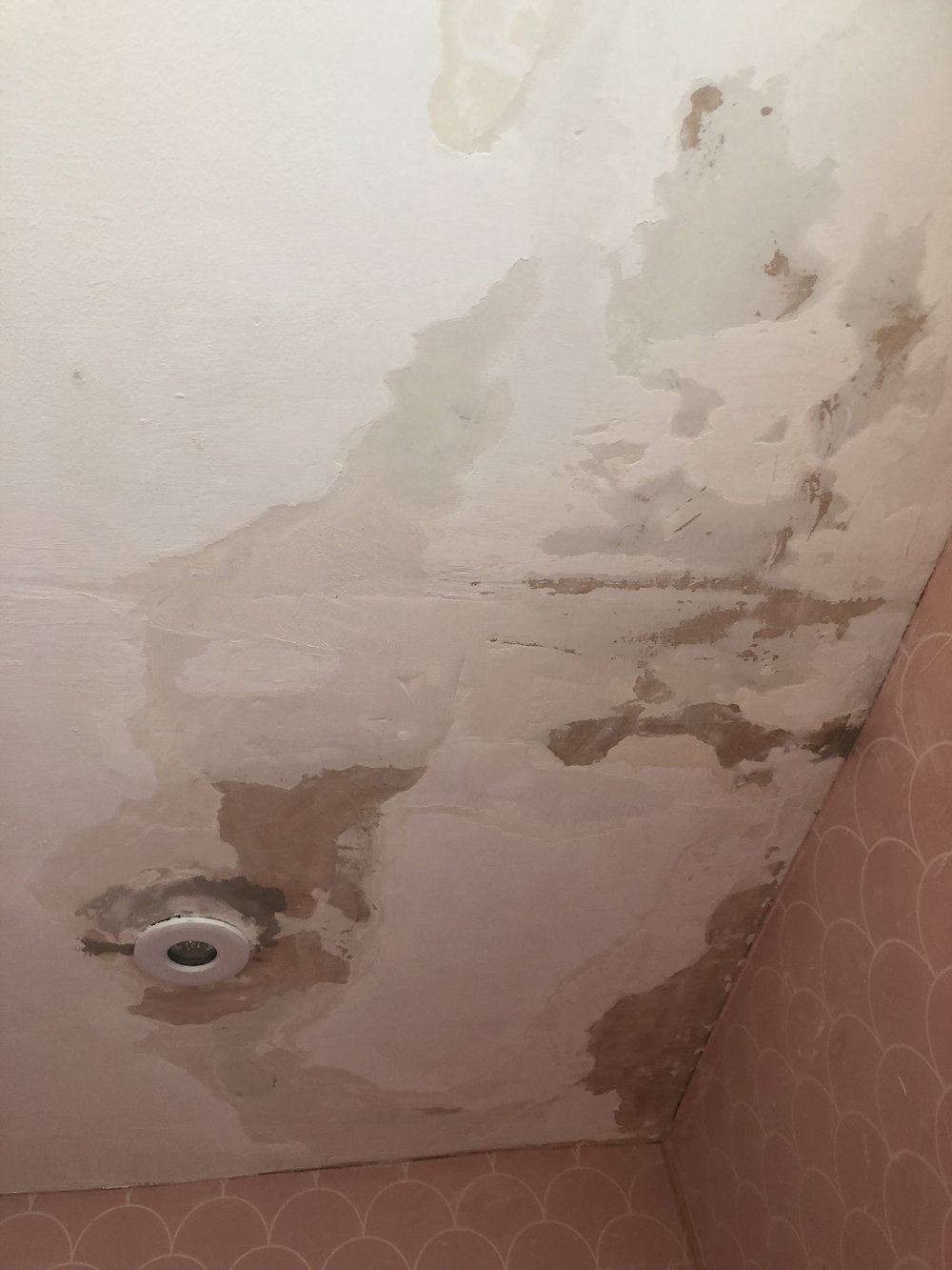 How To Repair A Peeling Bathroom Wall Or Ceiling Melanie Lissack Interiors