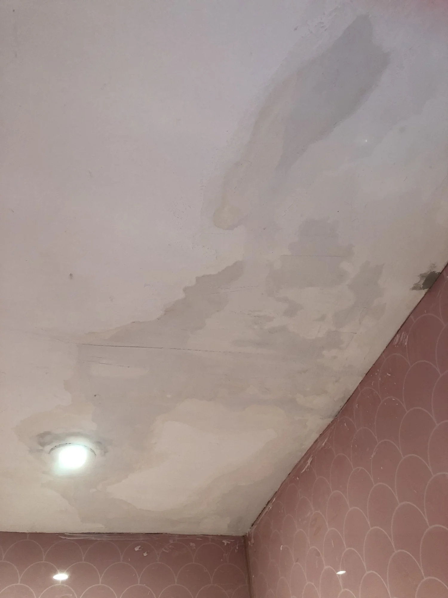 How To Repair A Peeling Bathroom Wall Or Ceiling — MELANIE LISSACK ...