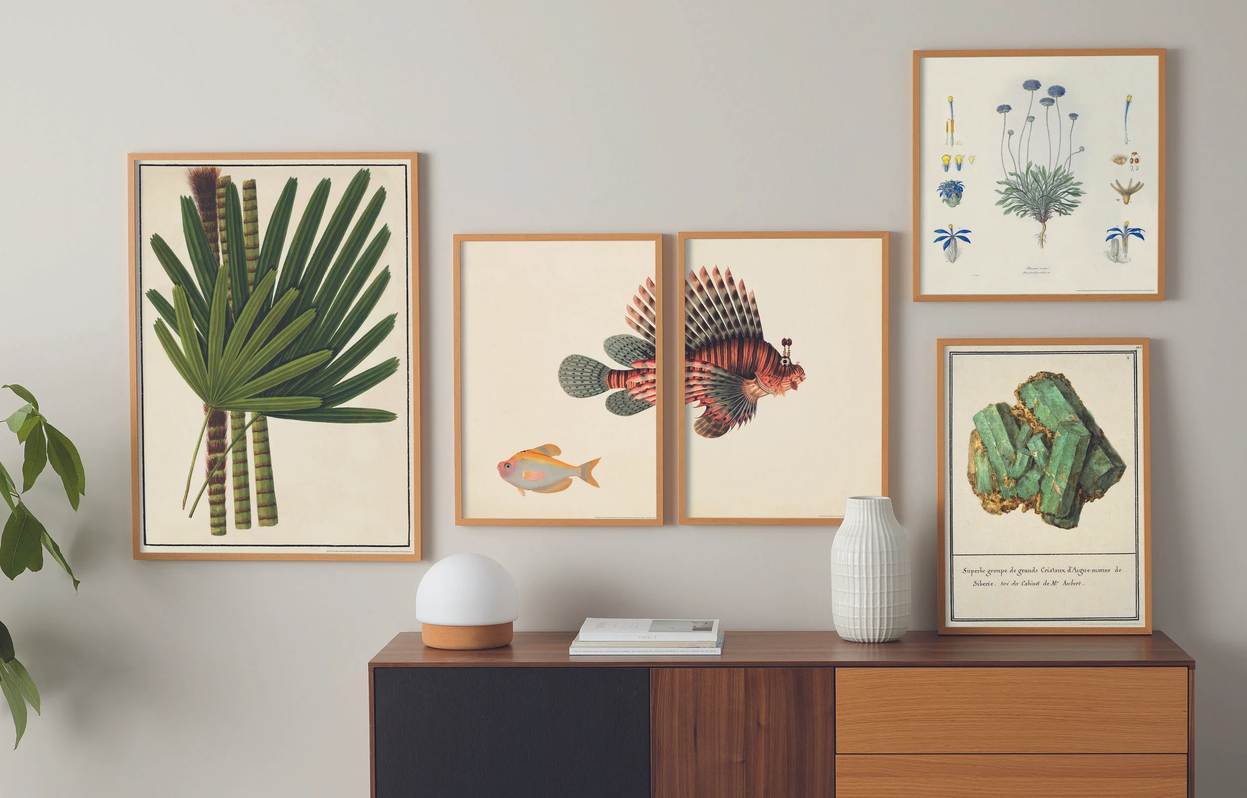 MADE x Natural History Museum