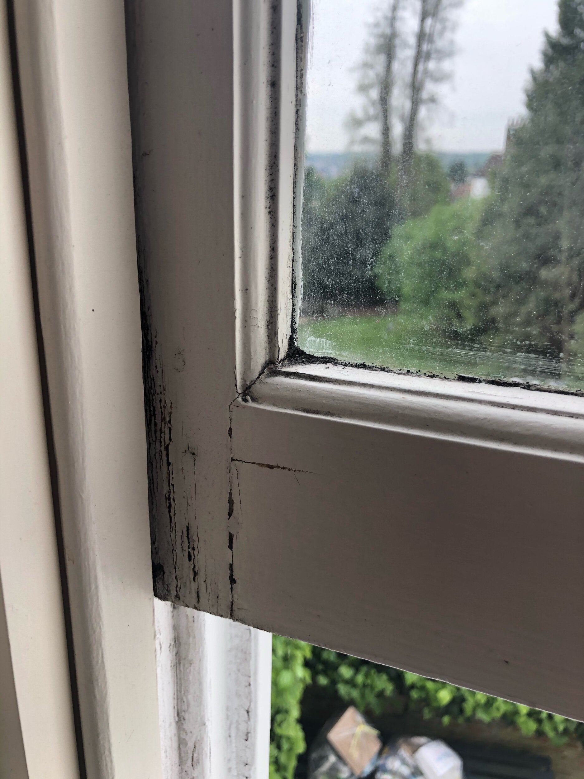 A beginner's guide to painting wooden sash windows — MELANIE