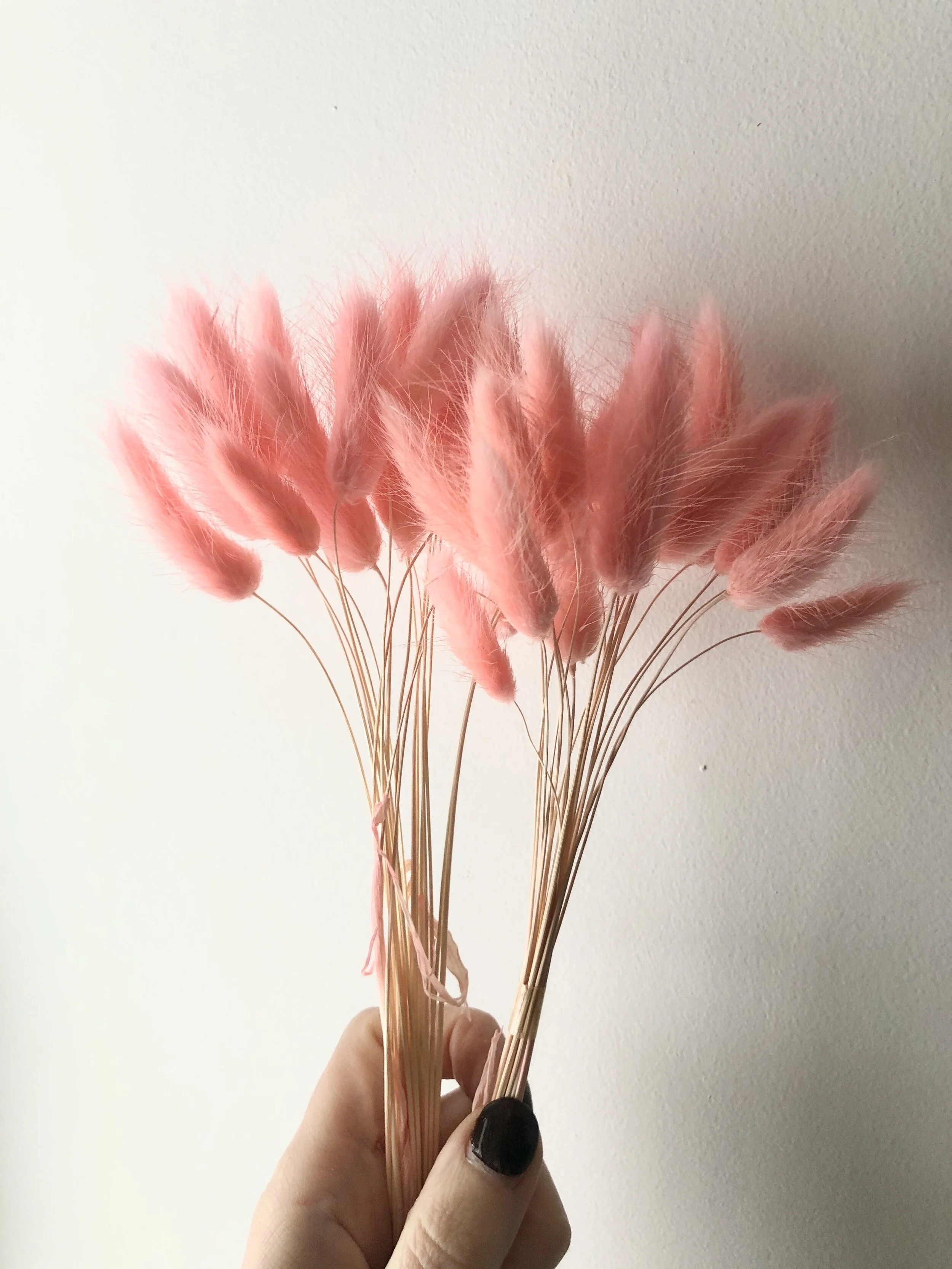 Some pink bunny tails that I purchased via eBay.