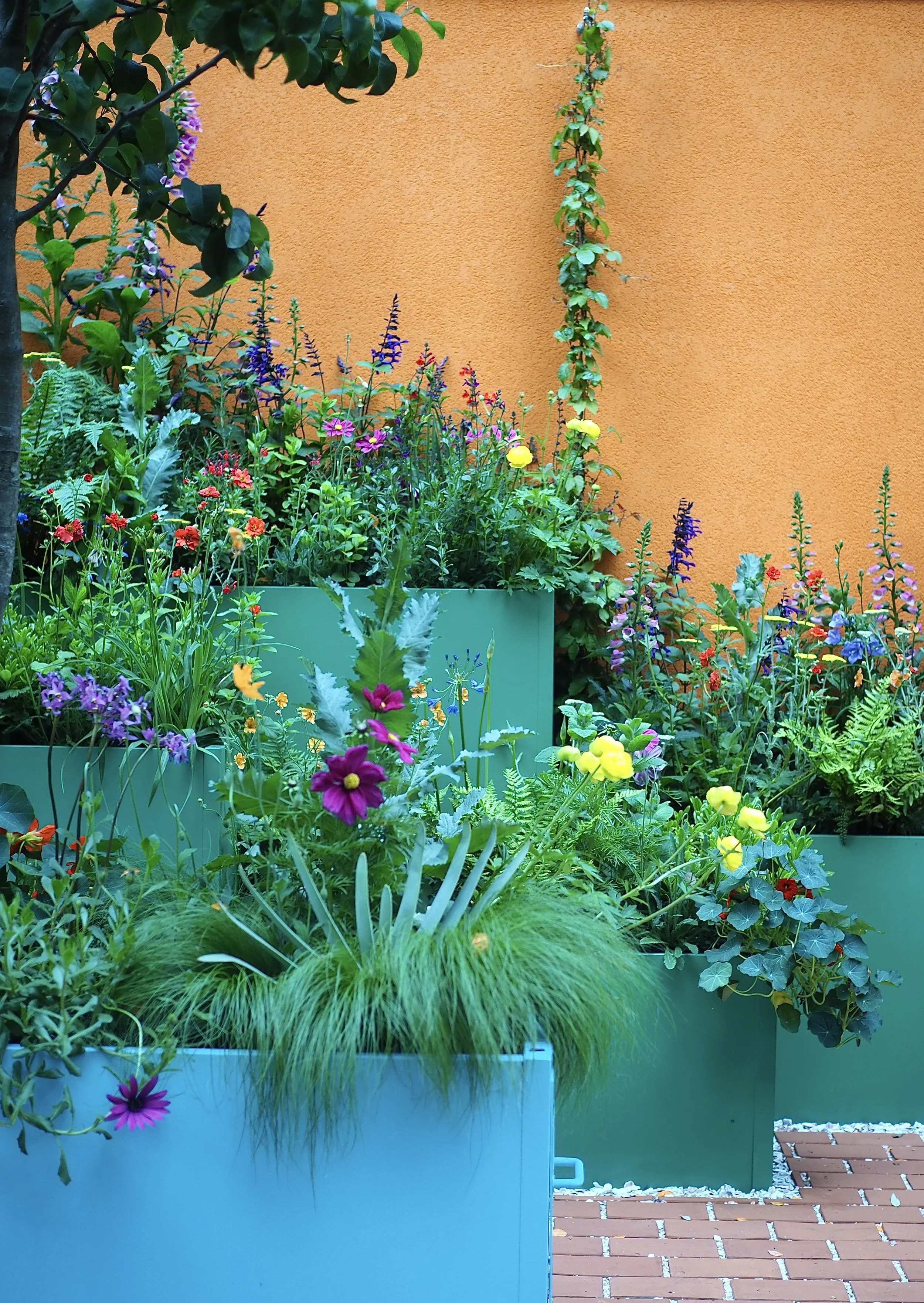 colourful garden ideas