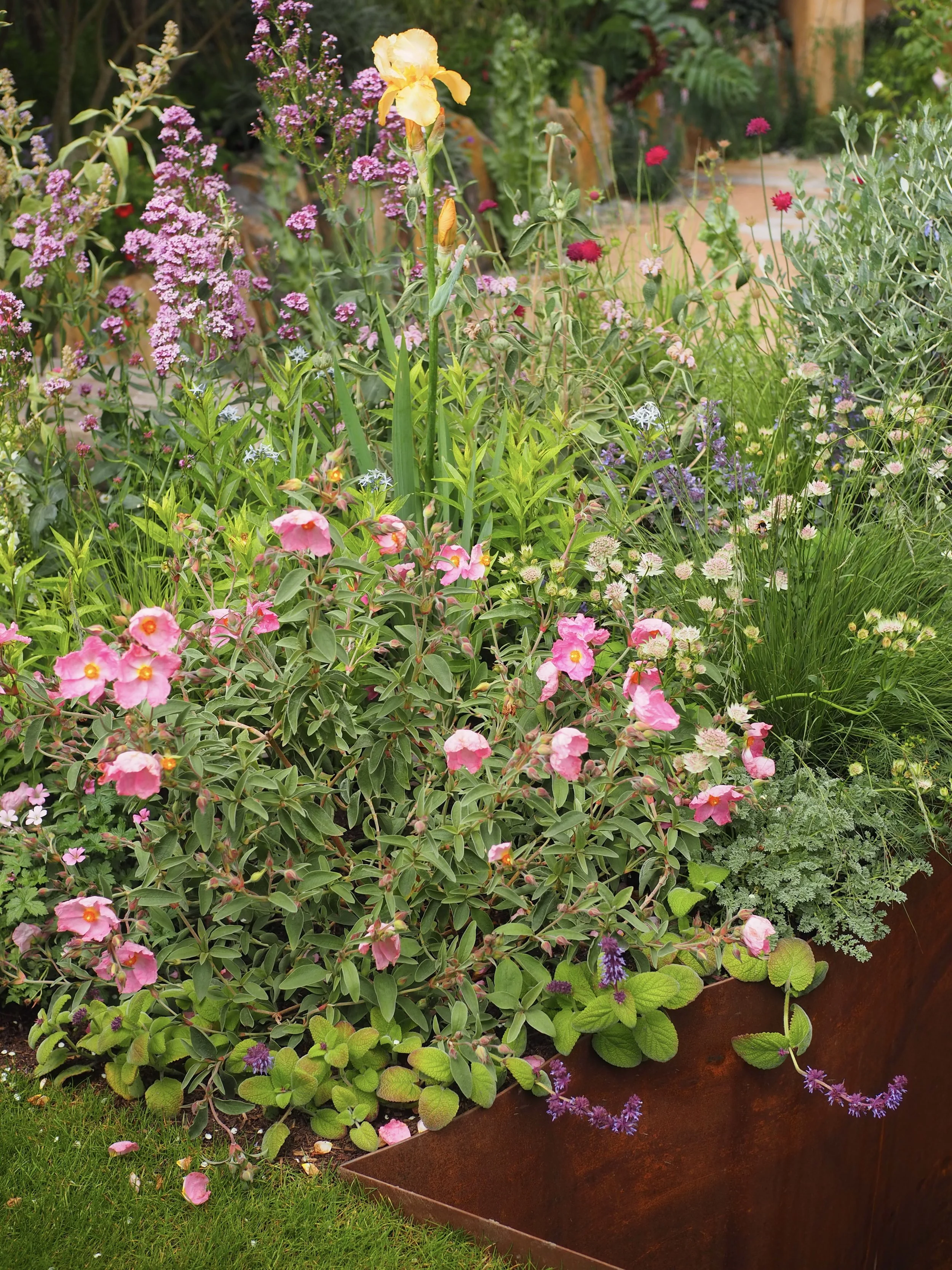 planting