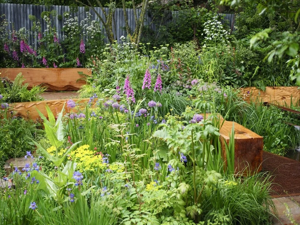 garden border ideas chelsea