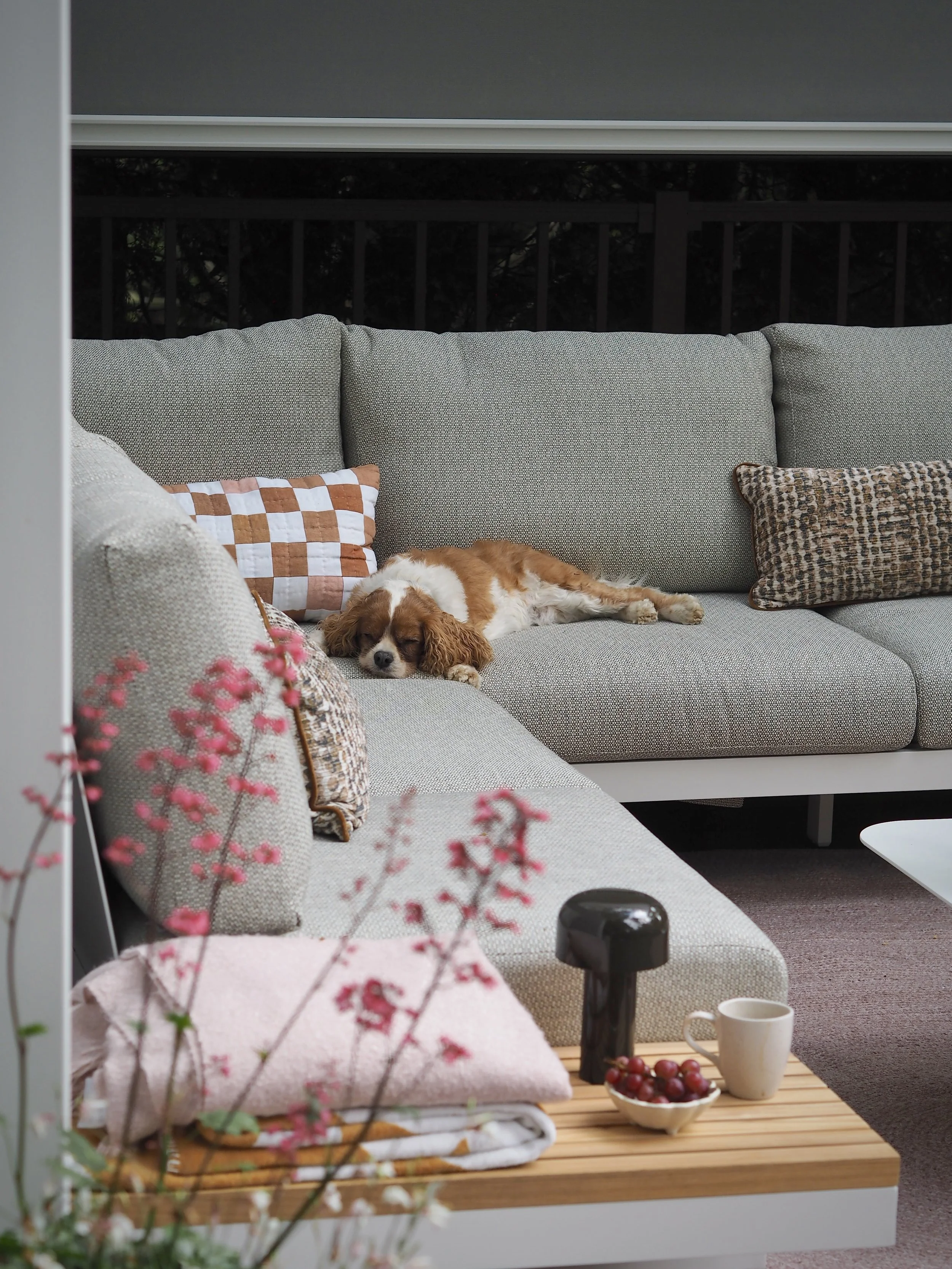 Creative Ways To Elevate Your Outdoor Space — MELANIE LISSACK INTERIORS
