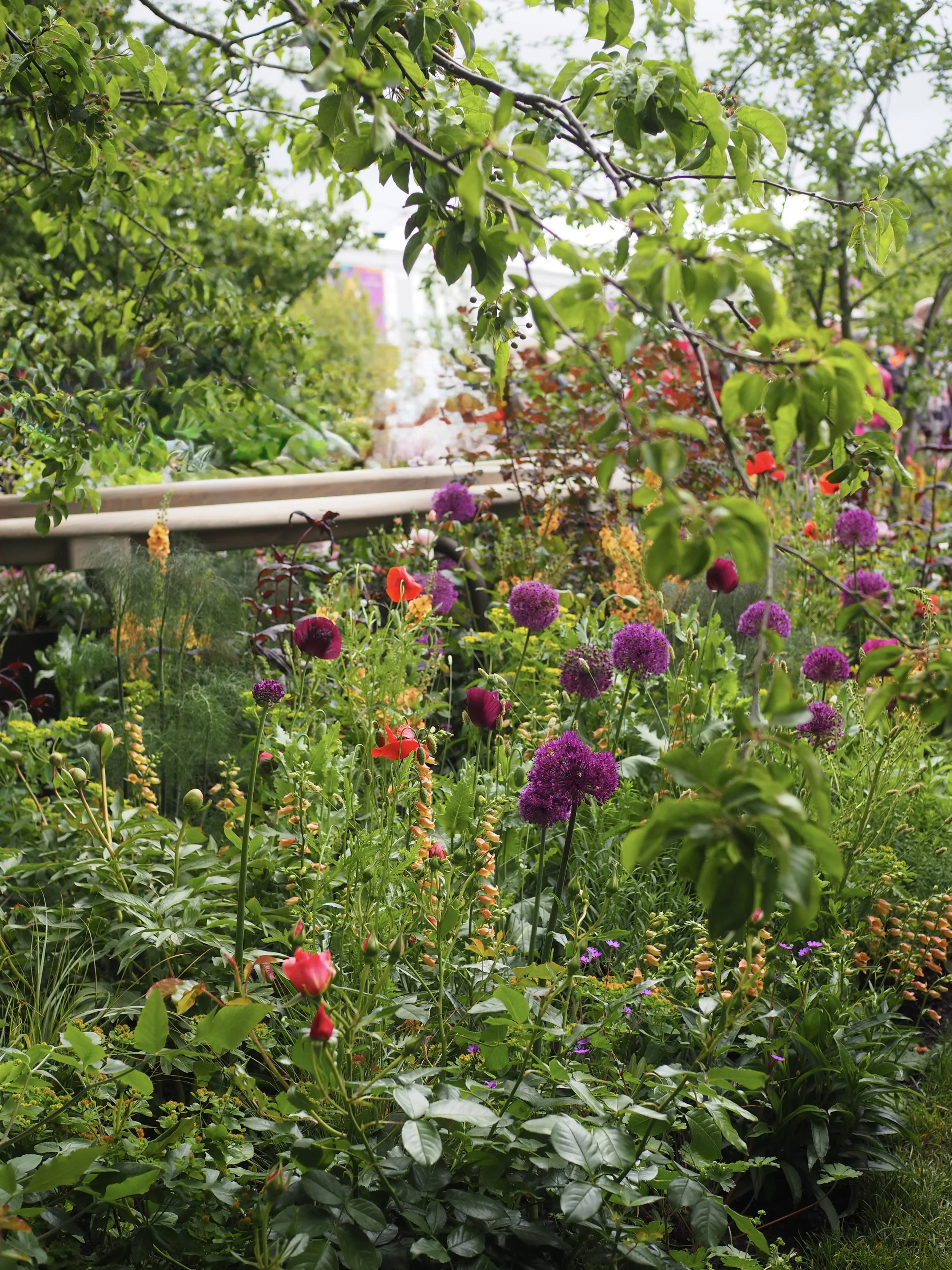 layered planting