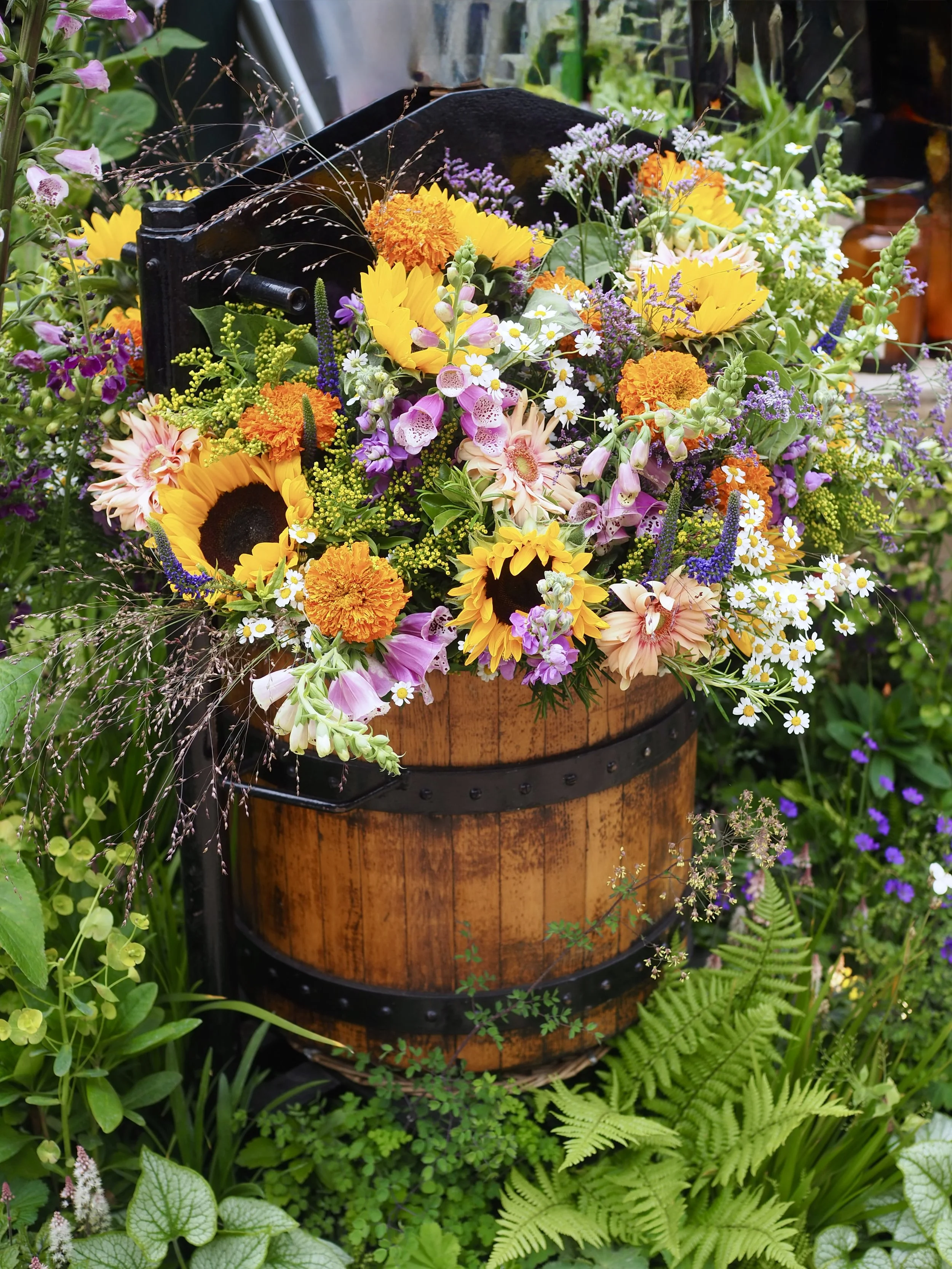 planting ideas