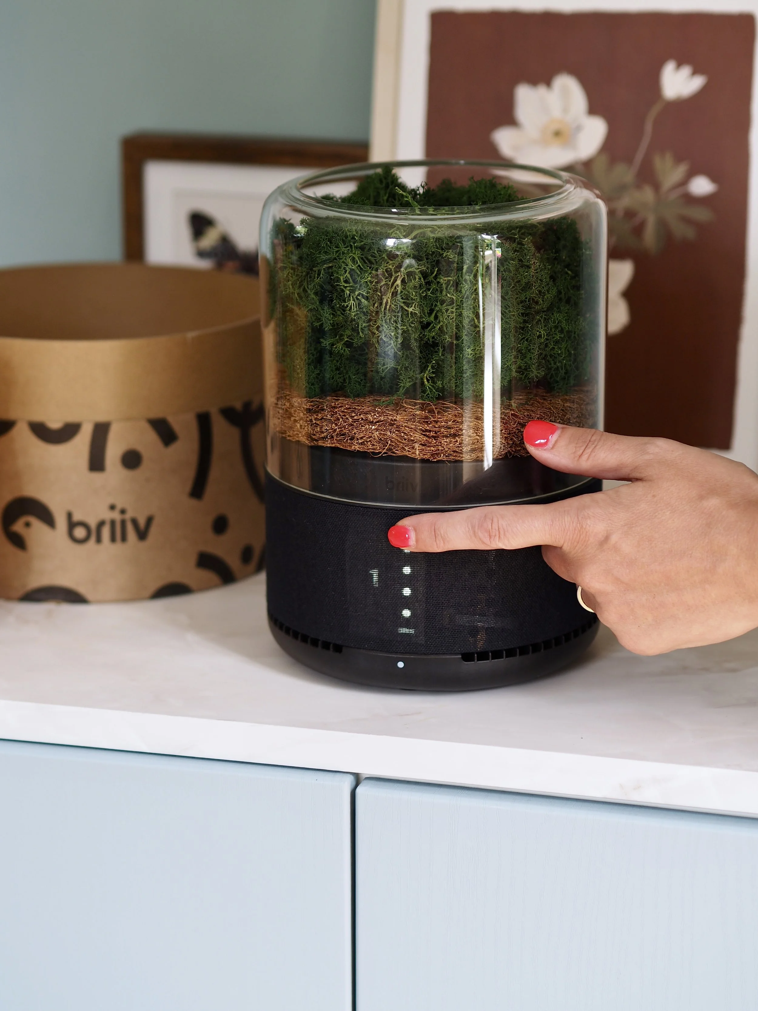 Briiv: The Smart, Stylish, and Sustainable Air Purifier For The Home