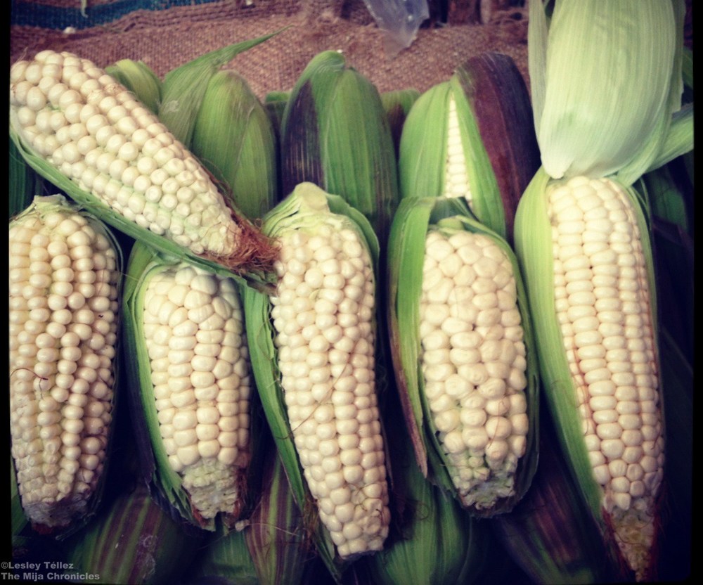 Elote cacahuazintle, a variety of corn that’s often dried and used in pozole.