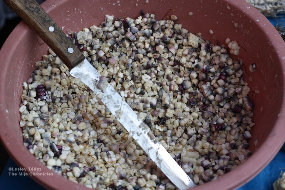 Elote desgranado, or fresh shucked corn, at the Tuesday market in Santiago Tianguistenco, Estado de México.