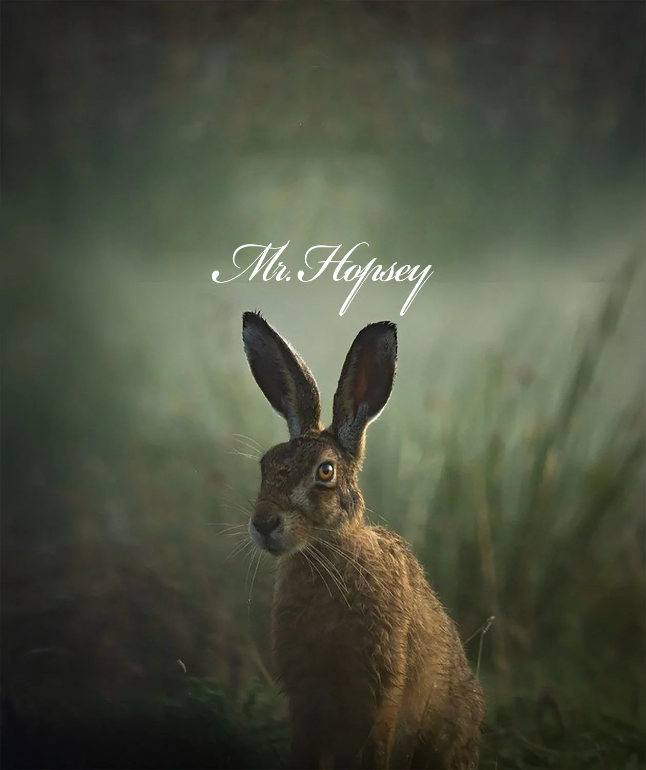 MrHopsey_A4.jpg
