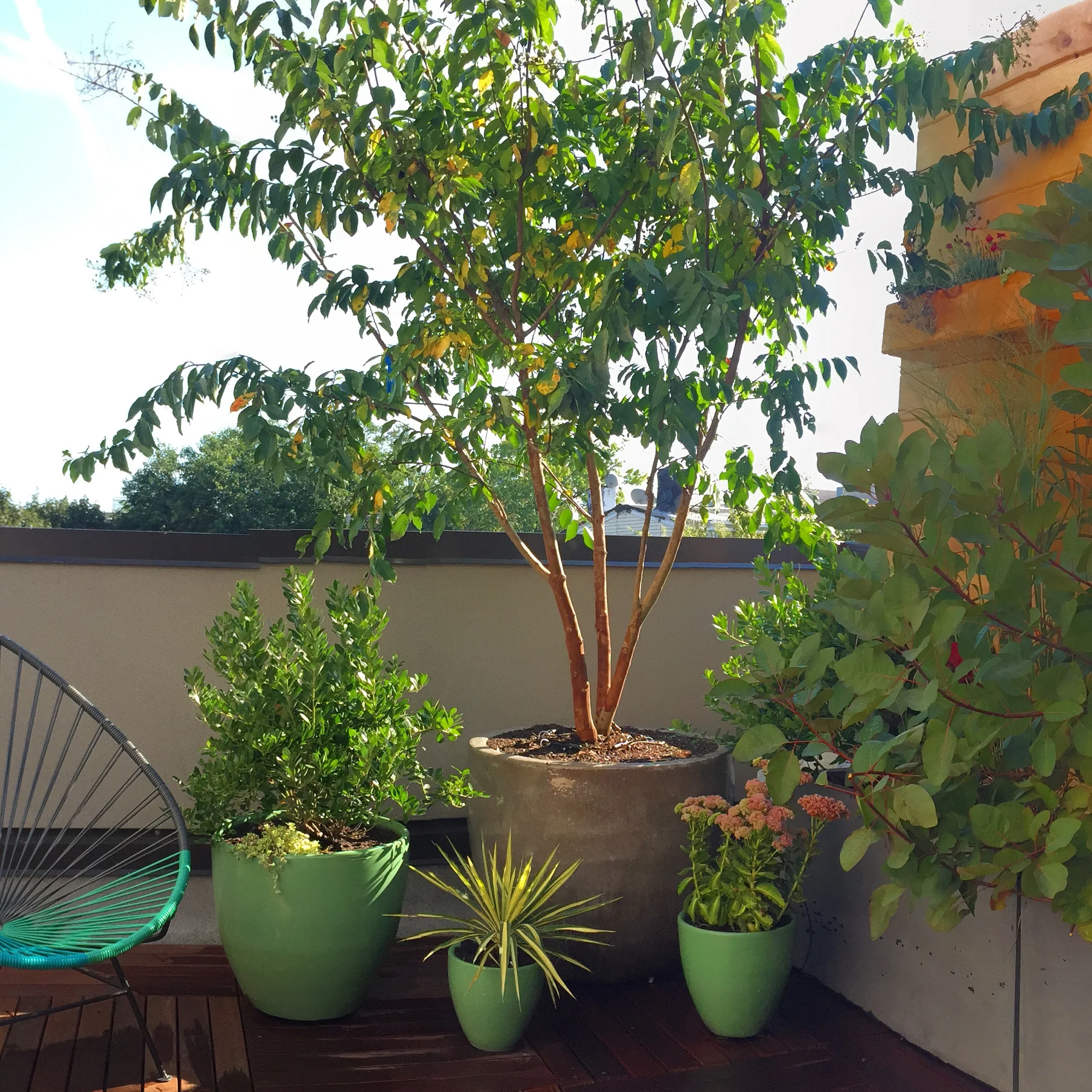 BrooklynTerrace1.jpg