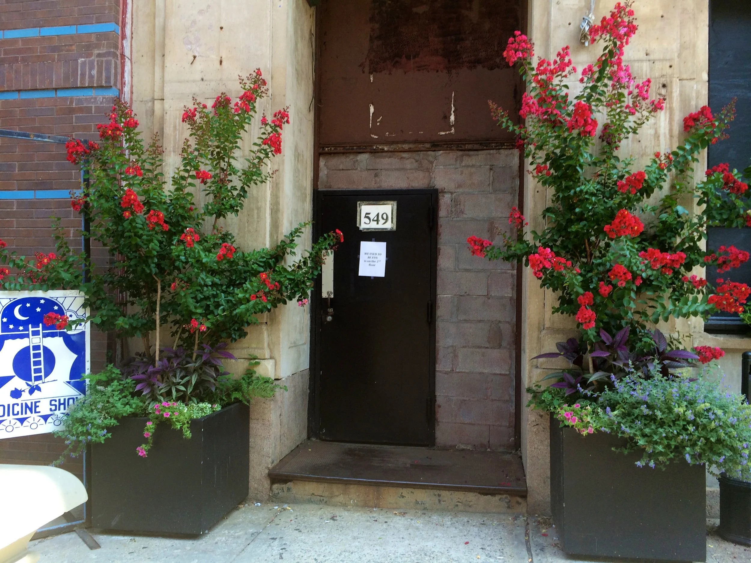 StreetPlanting4.jpg