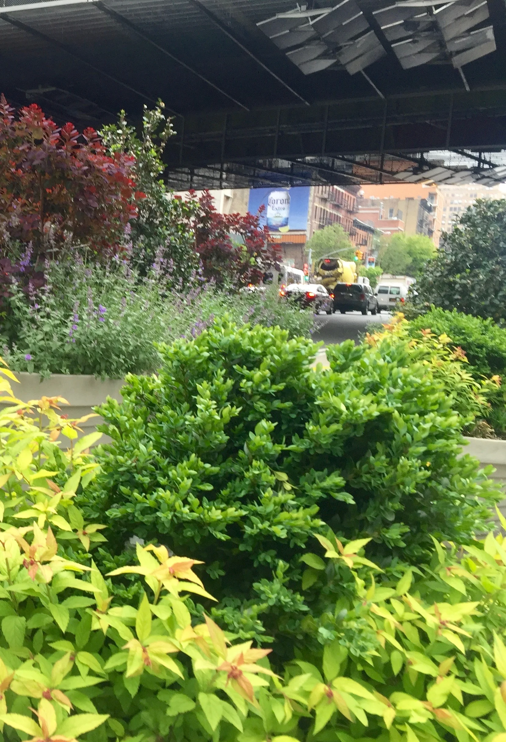 Public Plaza1.jpg