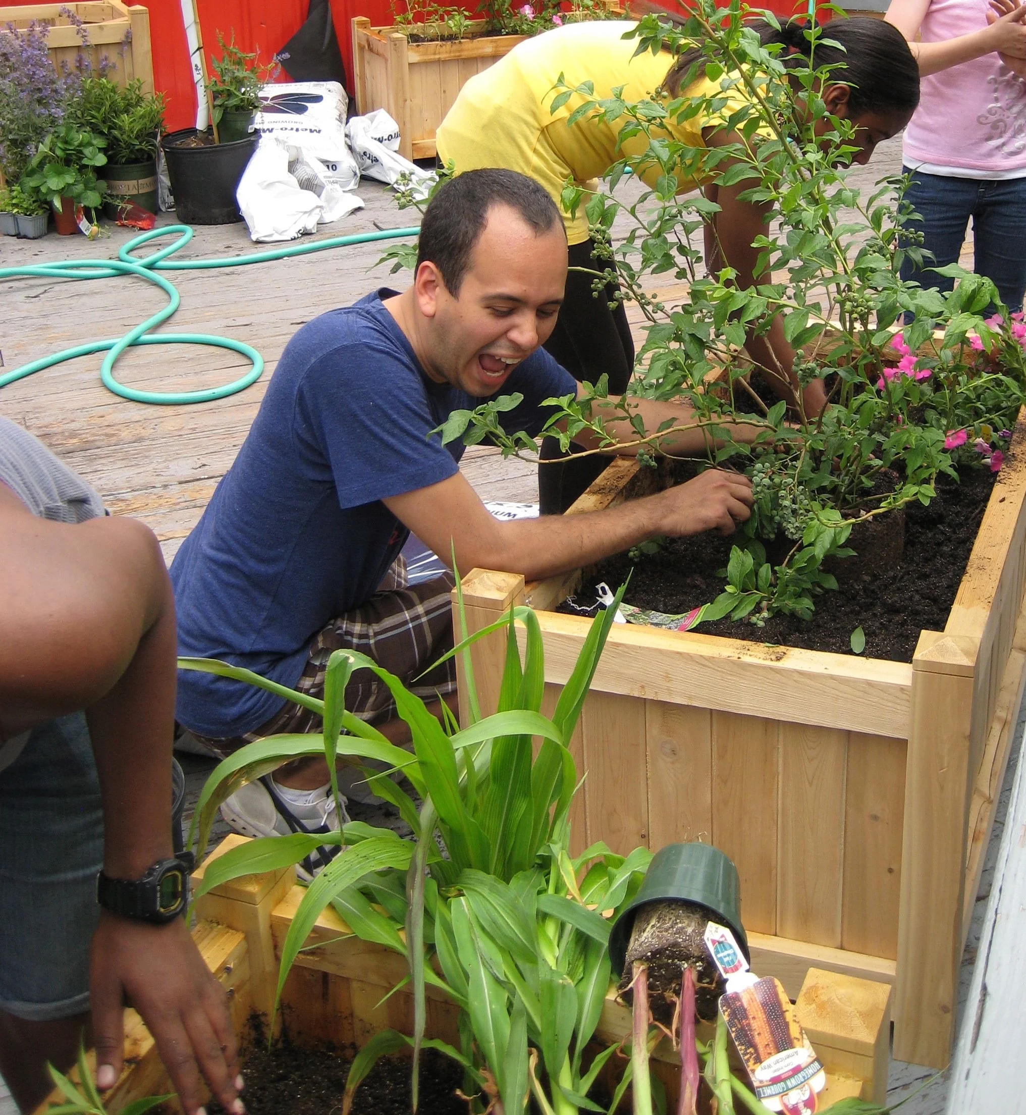 SchoolGarden2.jpg