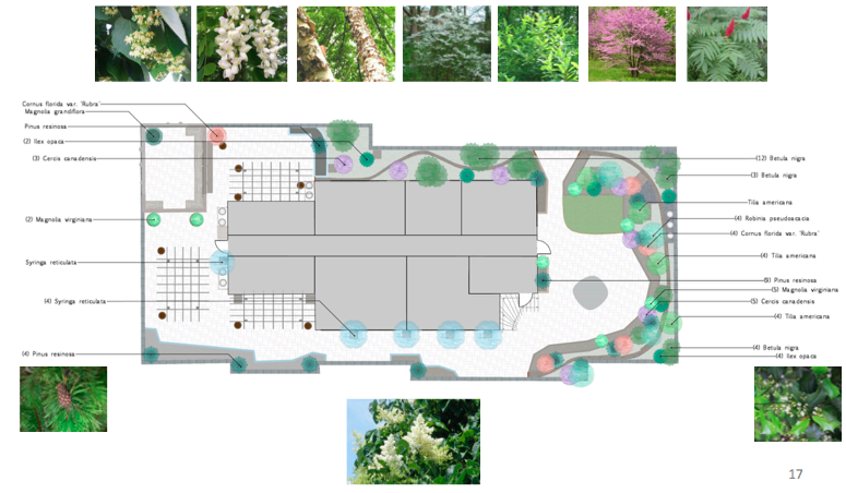 Affordable Housing Rooftop site plan.png