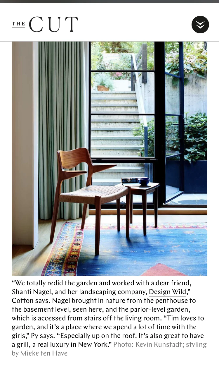 TheCut_Quote.jpg