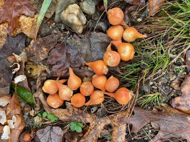 image7.jpeg