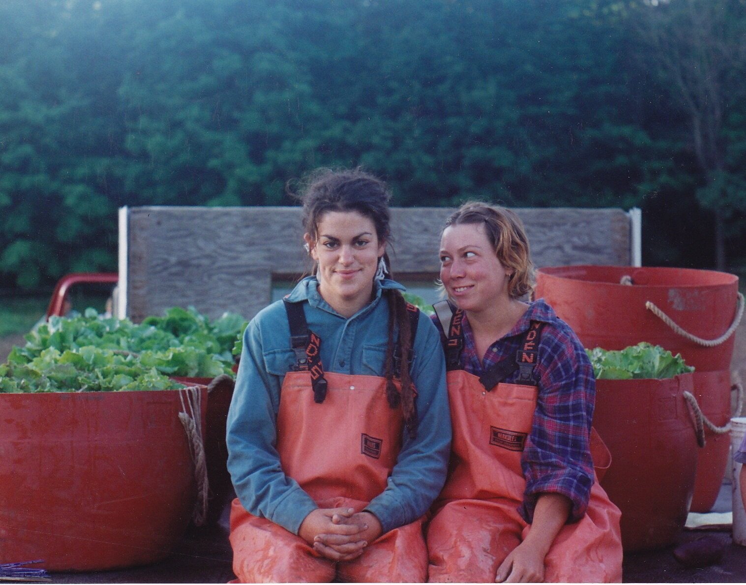 Organic Farm | Upstate NY