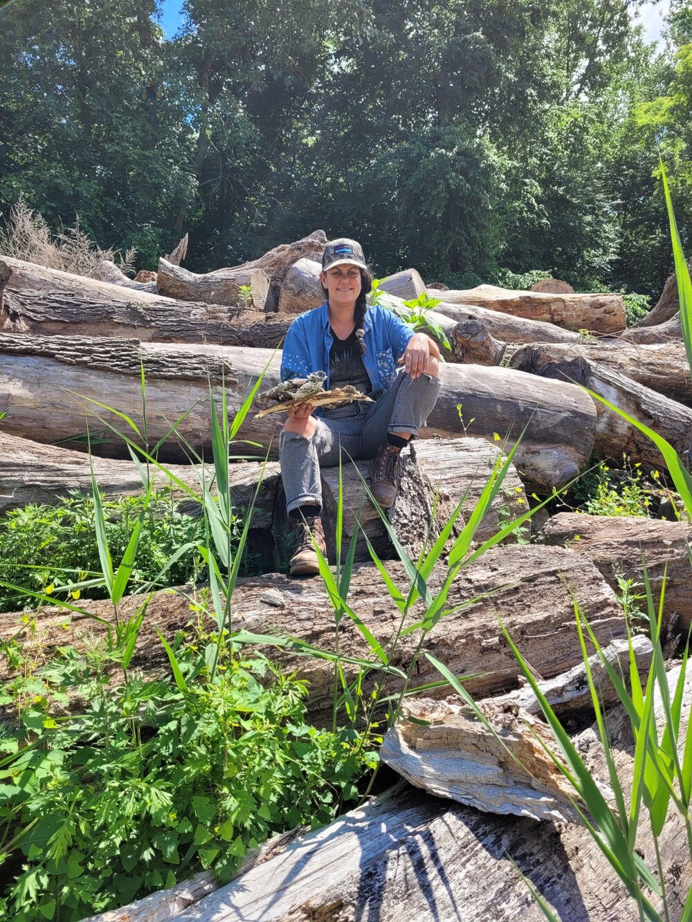 Collecting bark