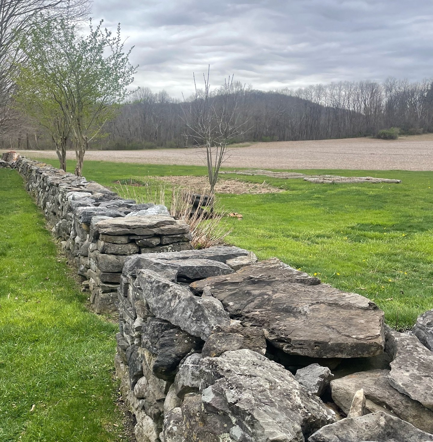 UPSTATE | We are designing and consulting on a bunch of Hudson Valley projects this spring season and we&rsquo;re very excited to see these project come to bloom! Plant shopping has begun and spring is in full swing! 🌱