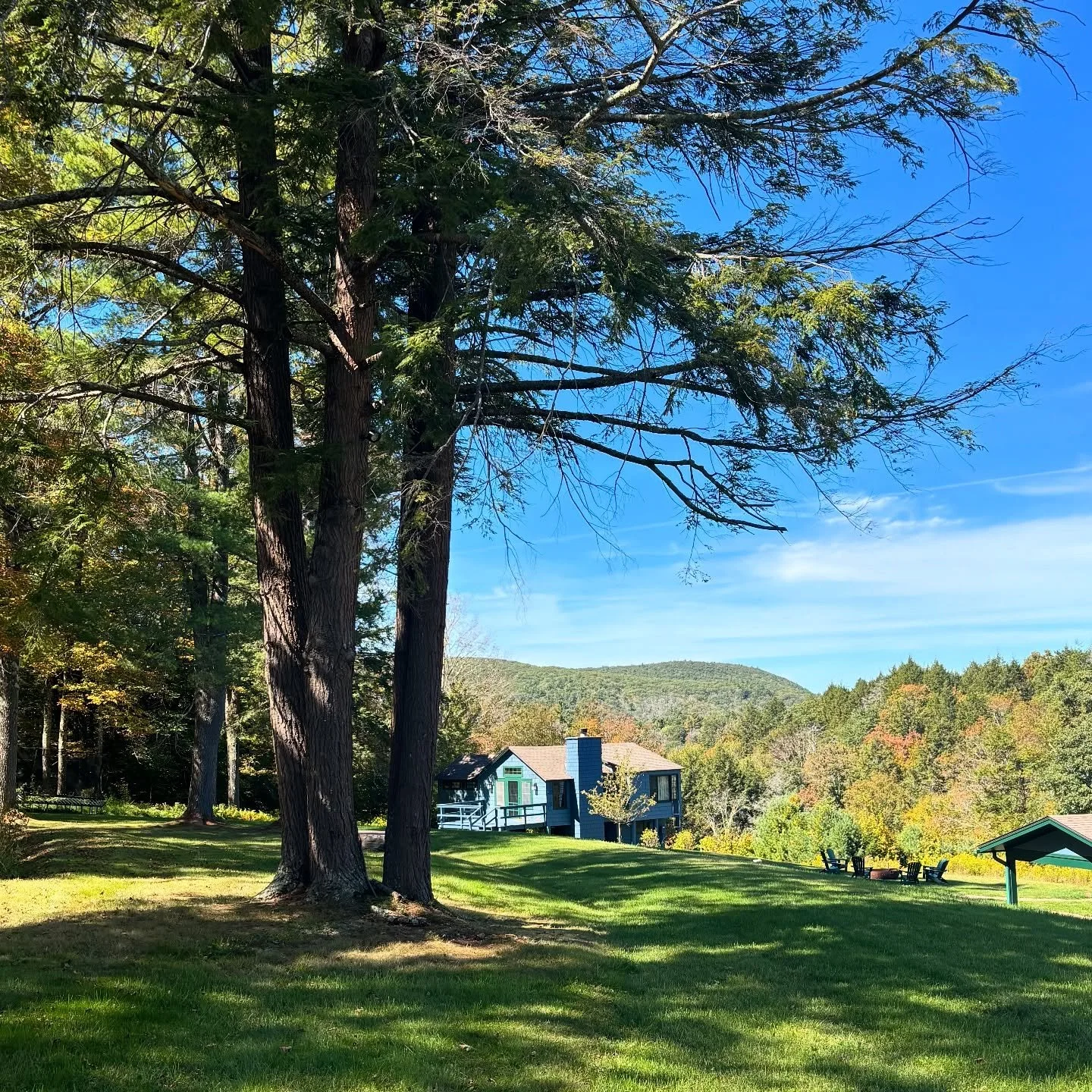 NEW FALL | New residential projects are arriving this fall and we couldn&rsquo;t be more excited. We love the timeline of get to know a property through a few season, changing some care strategies all before executing additions and new designs. This 