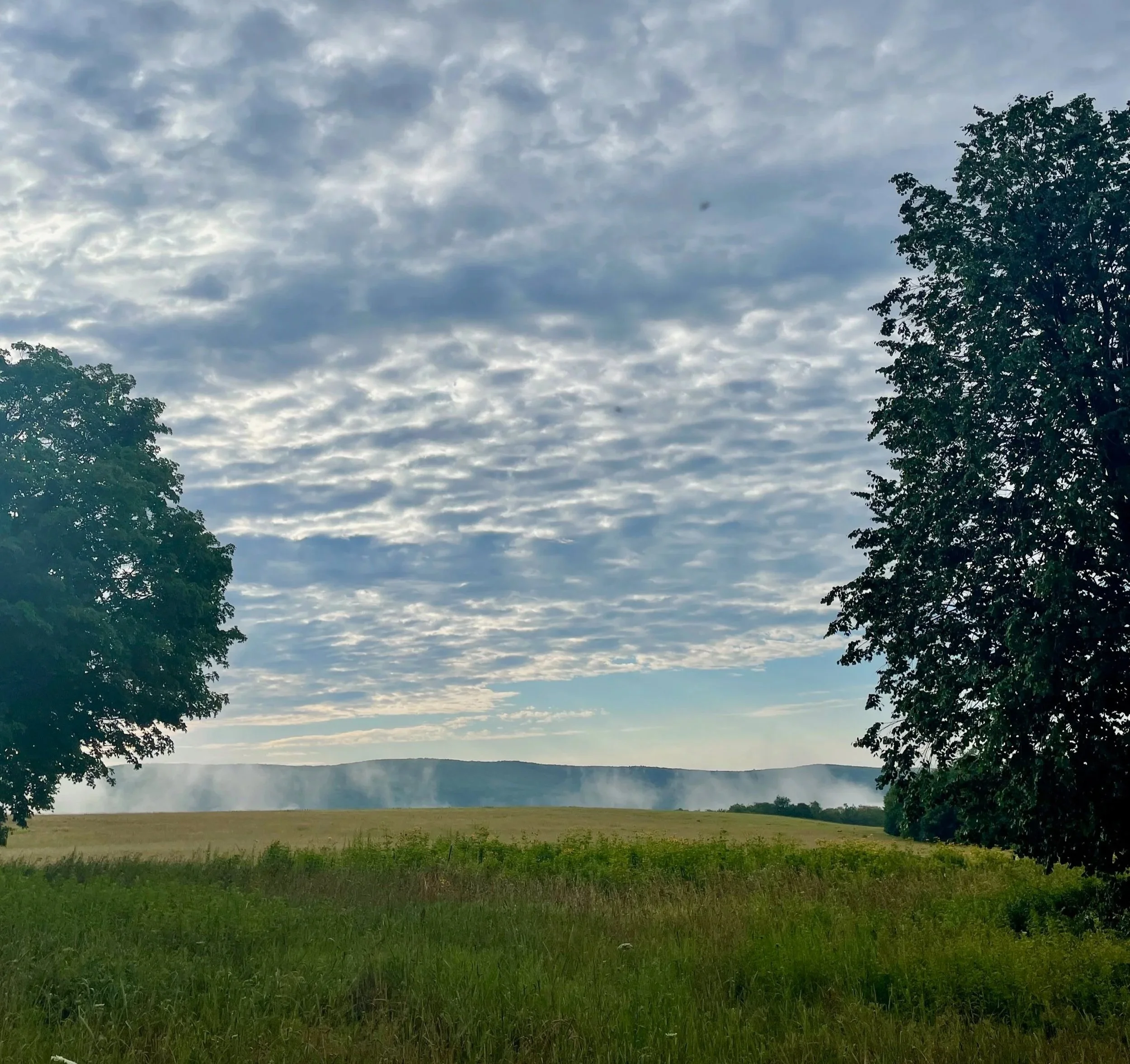 A Day With Design Wild &amp; The Ecological Landscape Alliance at Stone Barns!