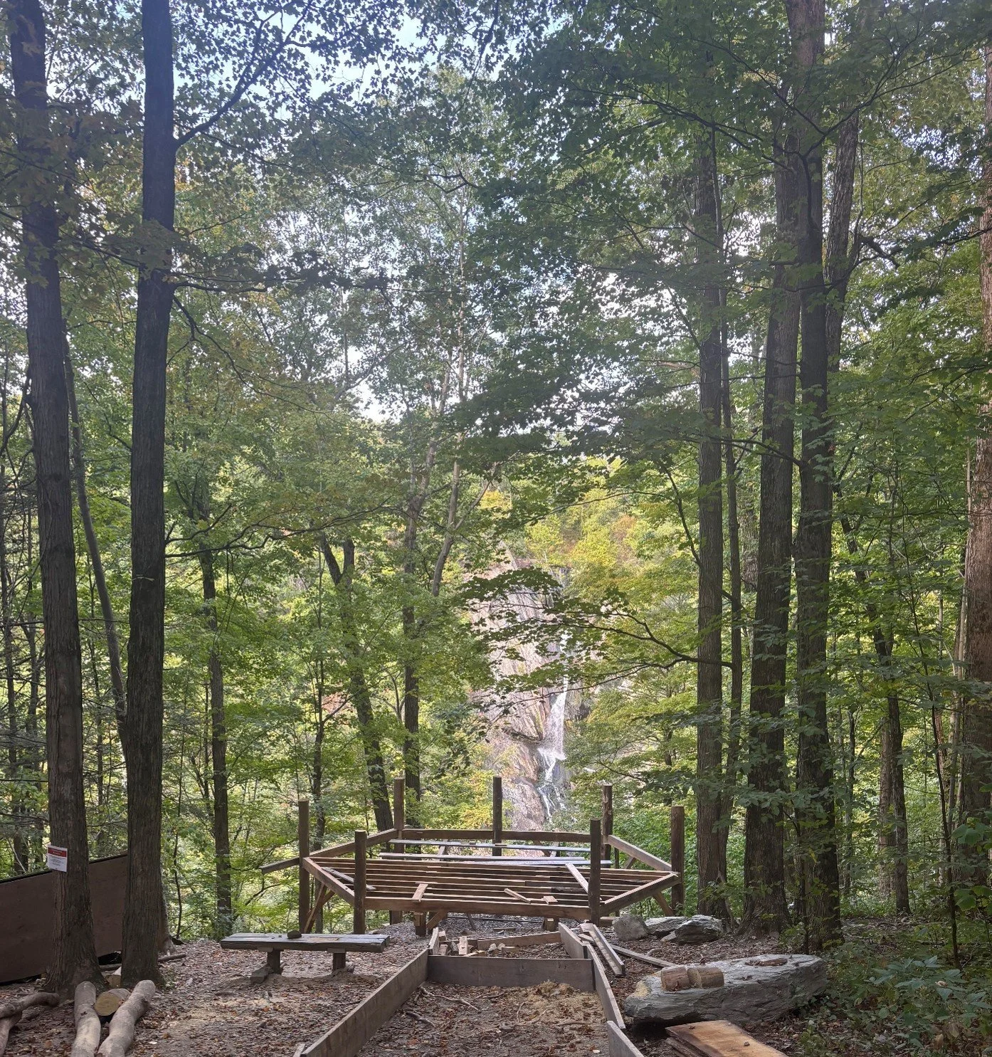 Picture6.jpg