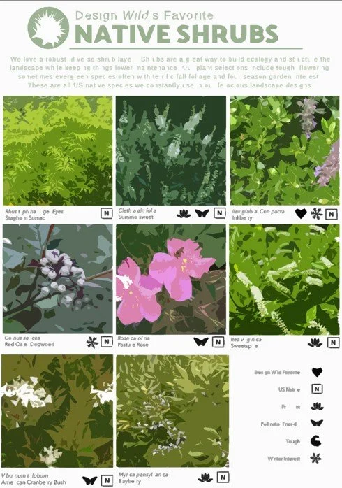 Native Shrub pdf.jpg