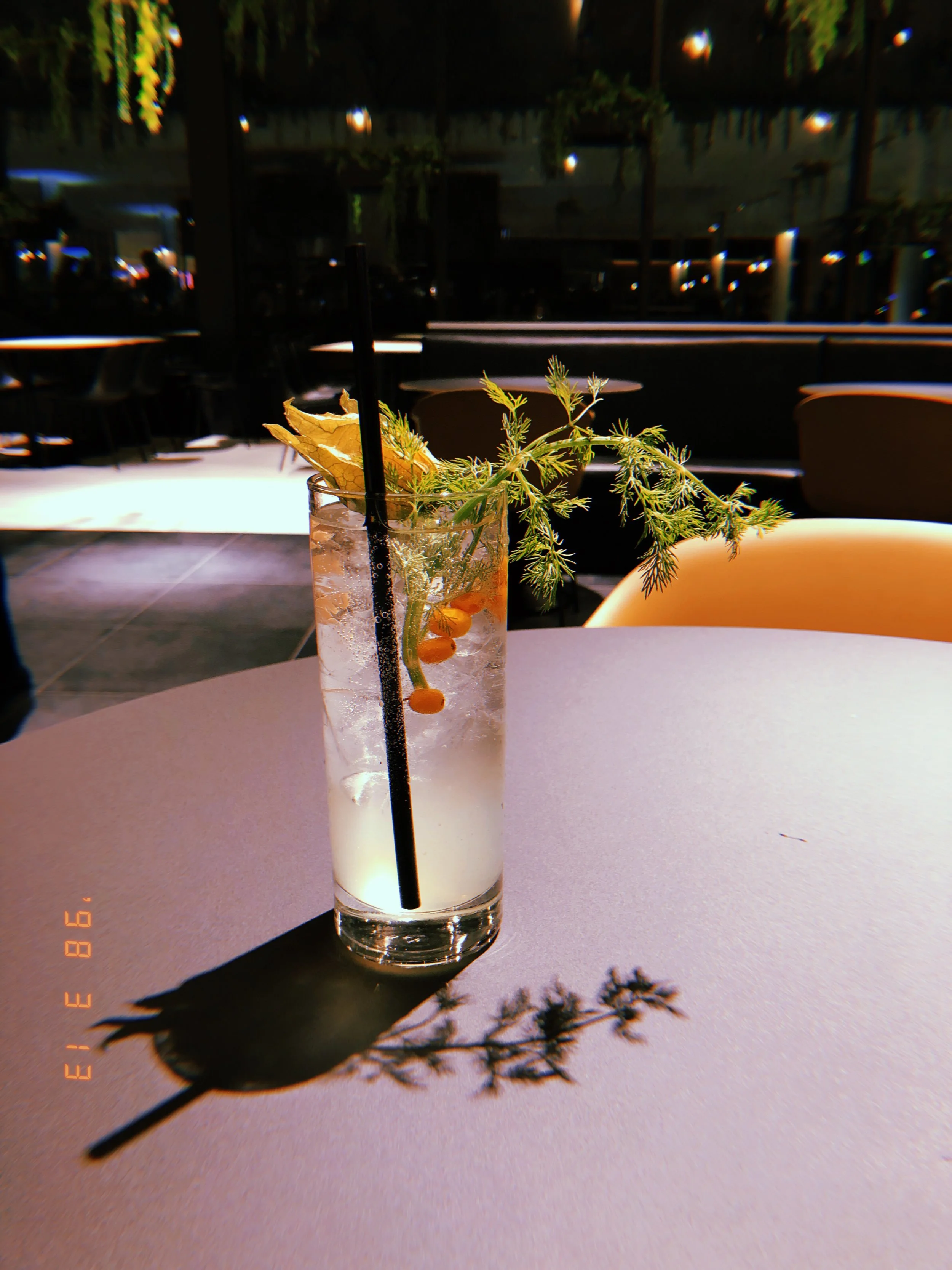 2019-03-13 19:40:48.734.JPG