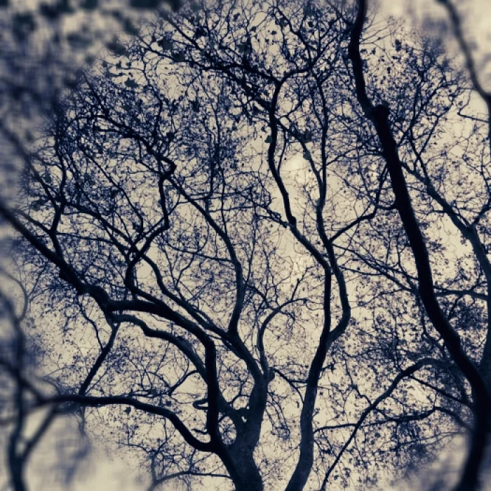 https://streethauntingphotography.wordpress.com