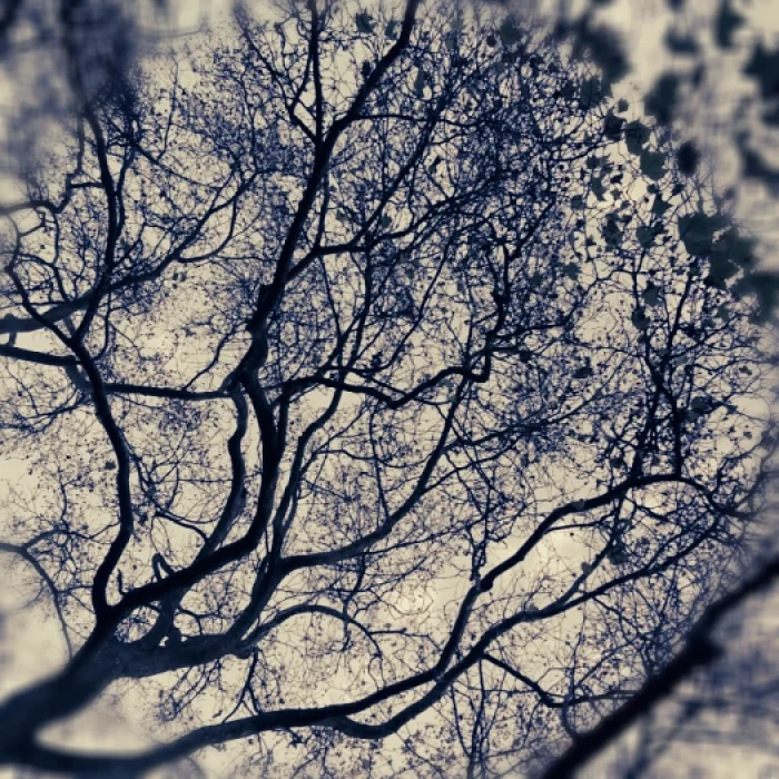 20141129150327170.jpg