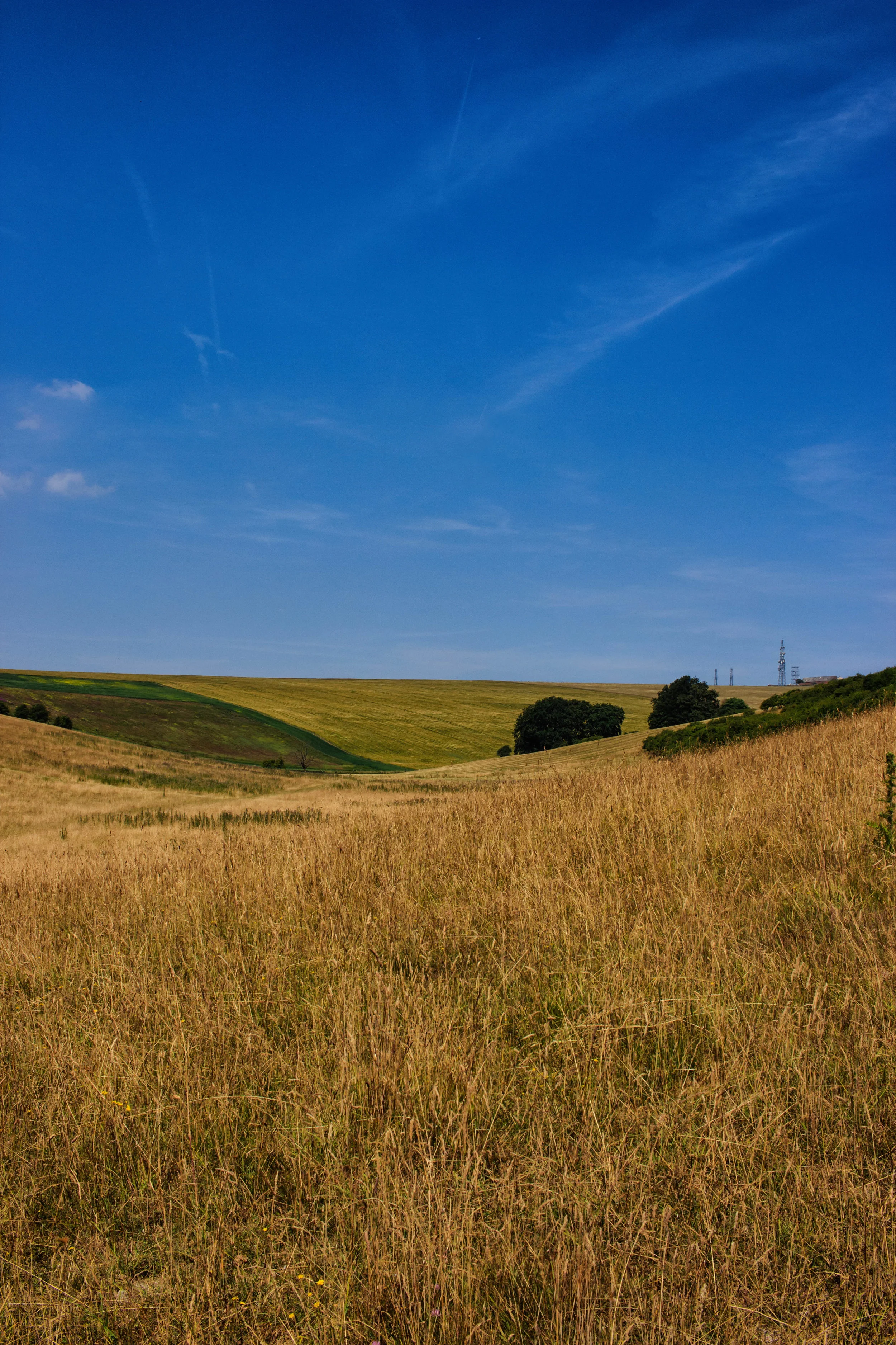 _MG_5890.jpg