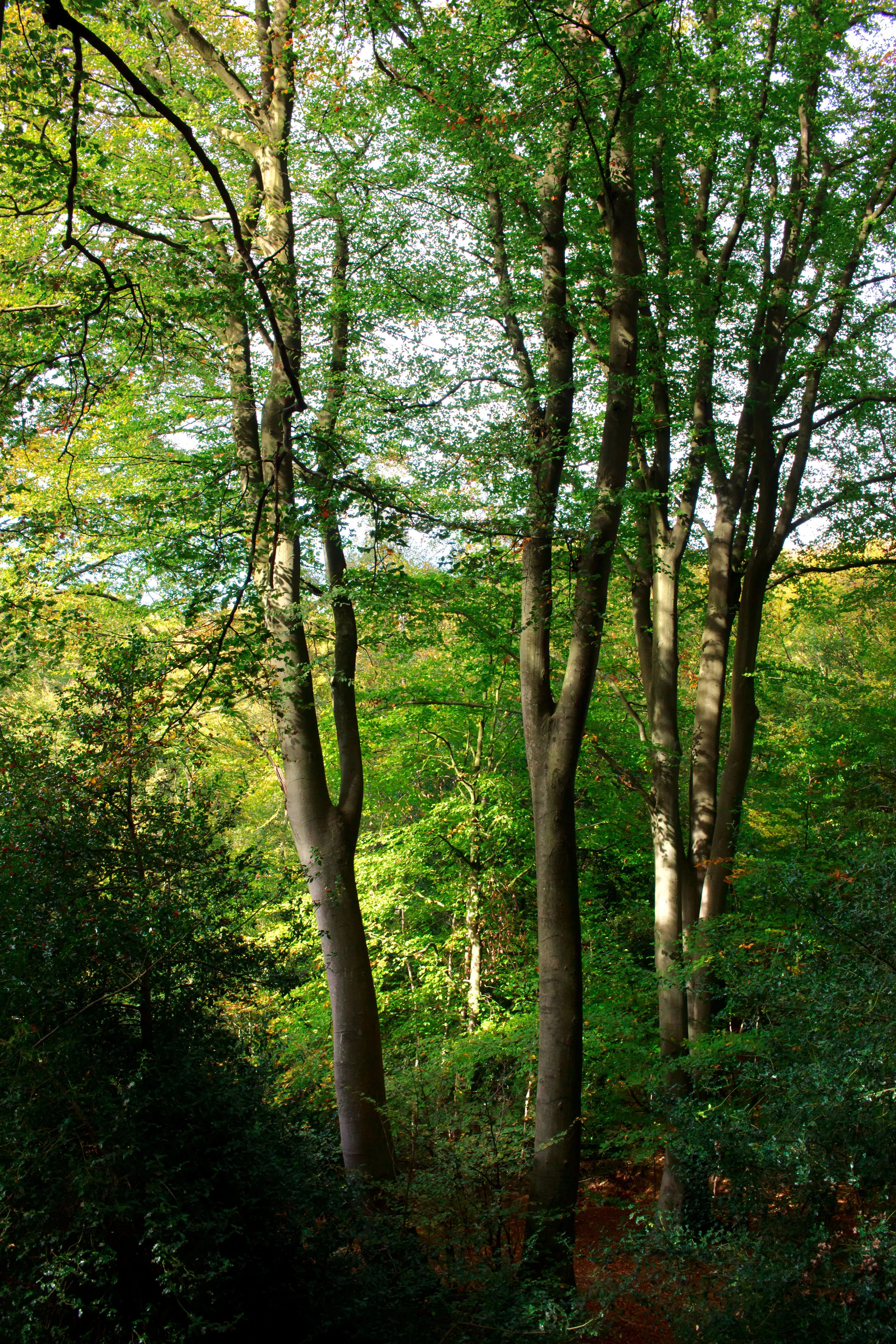 _MG_6378_edited-2.jpg