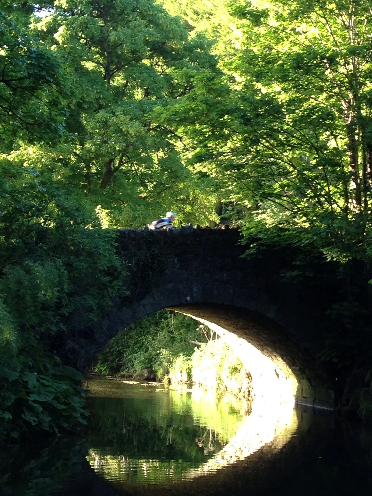 2013-06-06 20.15.44.jpg