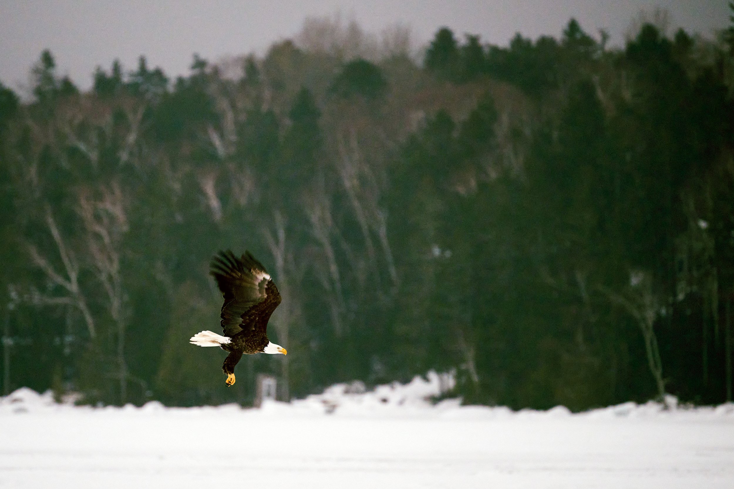 web_2024-02-12_Maine_2067.jpg