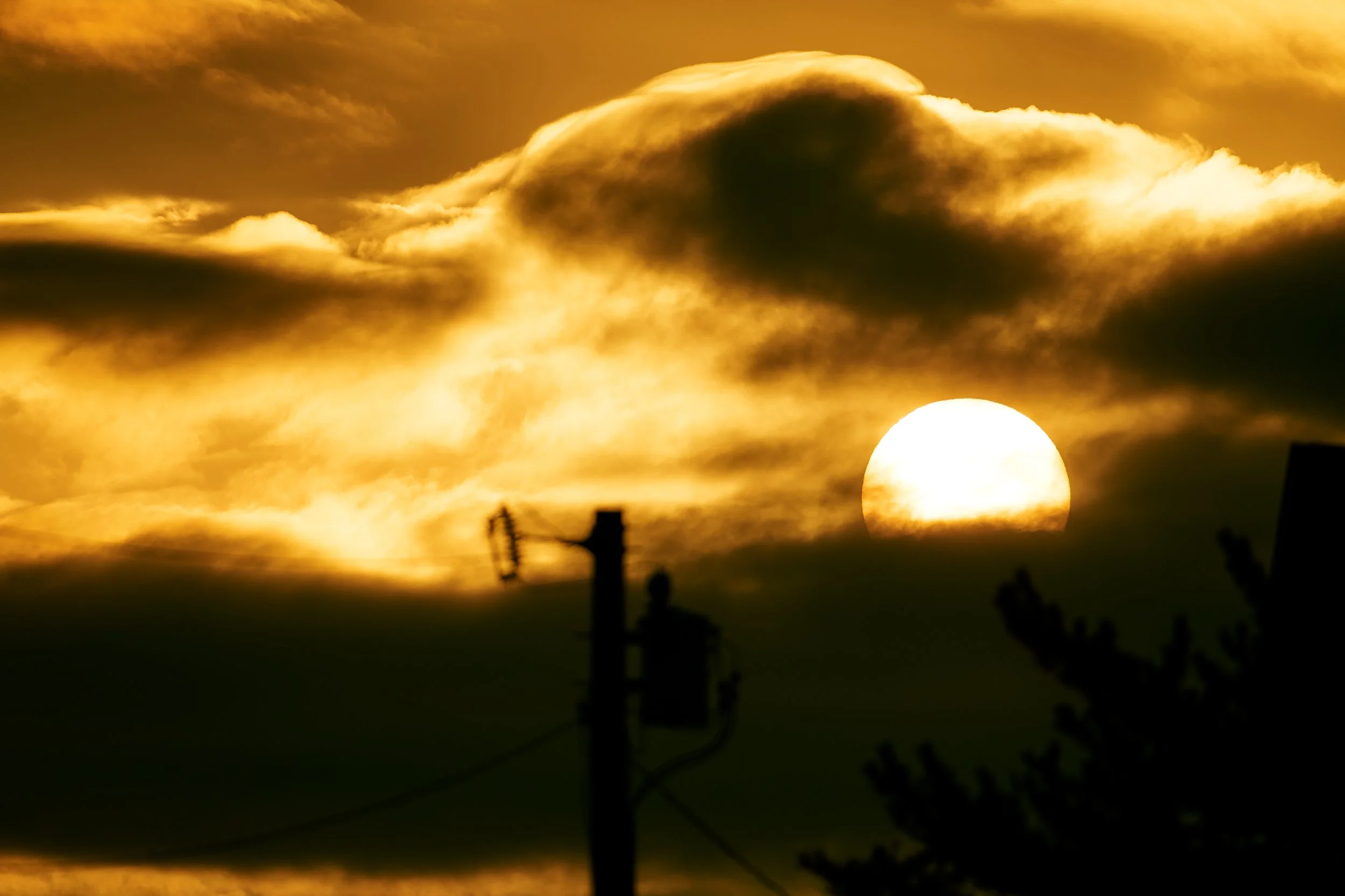 web_2026-05-15_Matunuck_0219.jpg