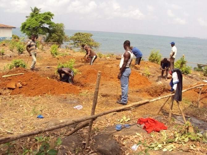 Feb 2014 - Alusine (Master Builder), supervising operations.